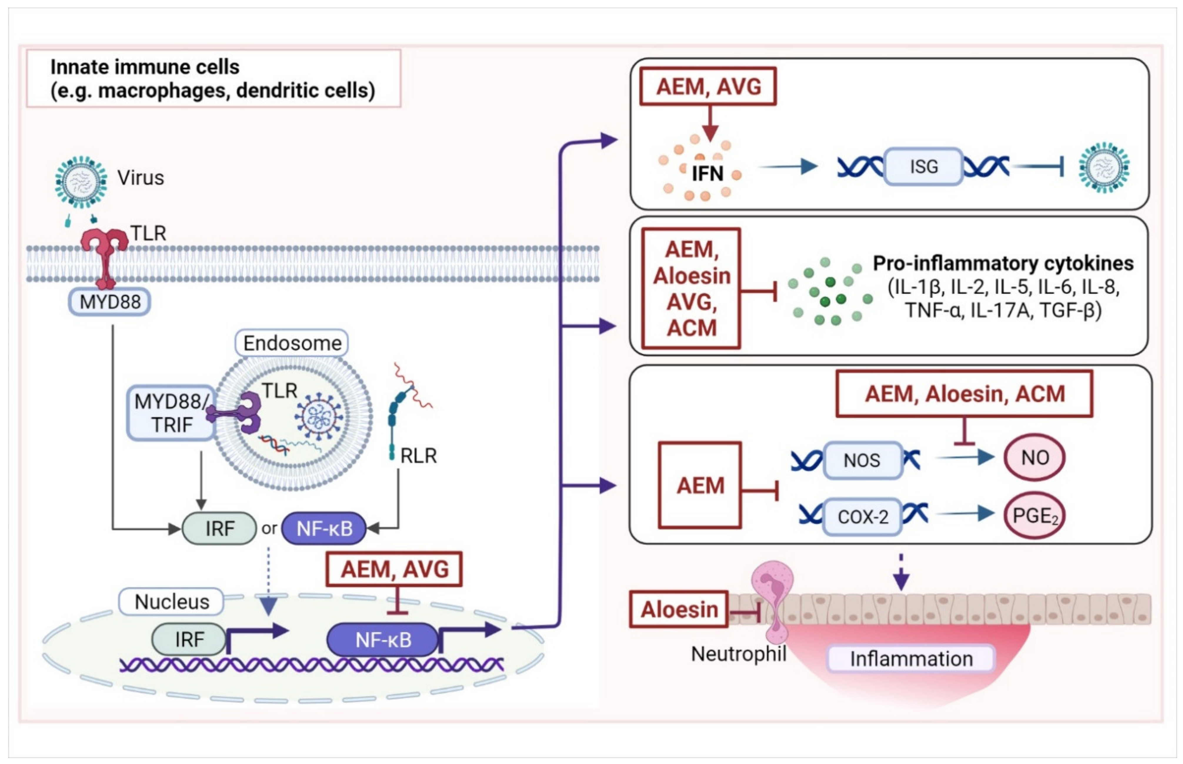 Pharmaceuticals 15 00599 g002