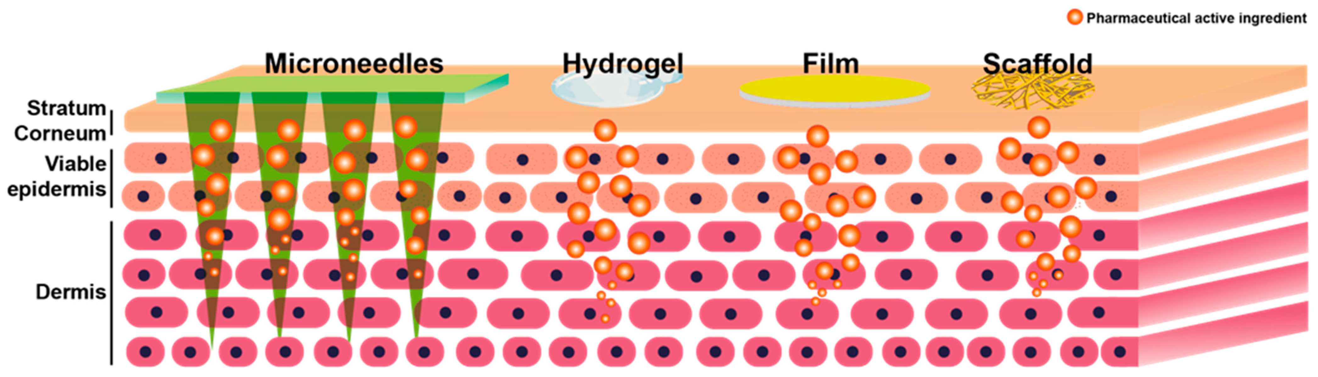 Pharmaceuticals 15 00602 g001