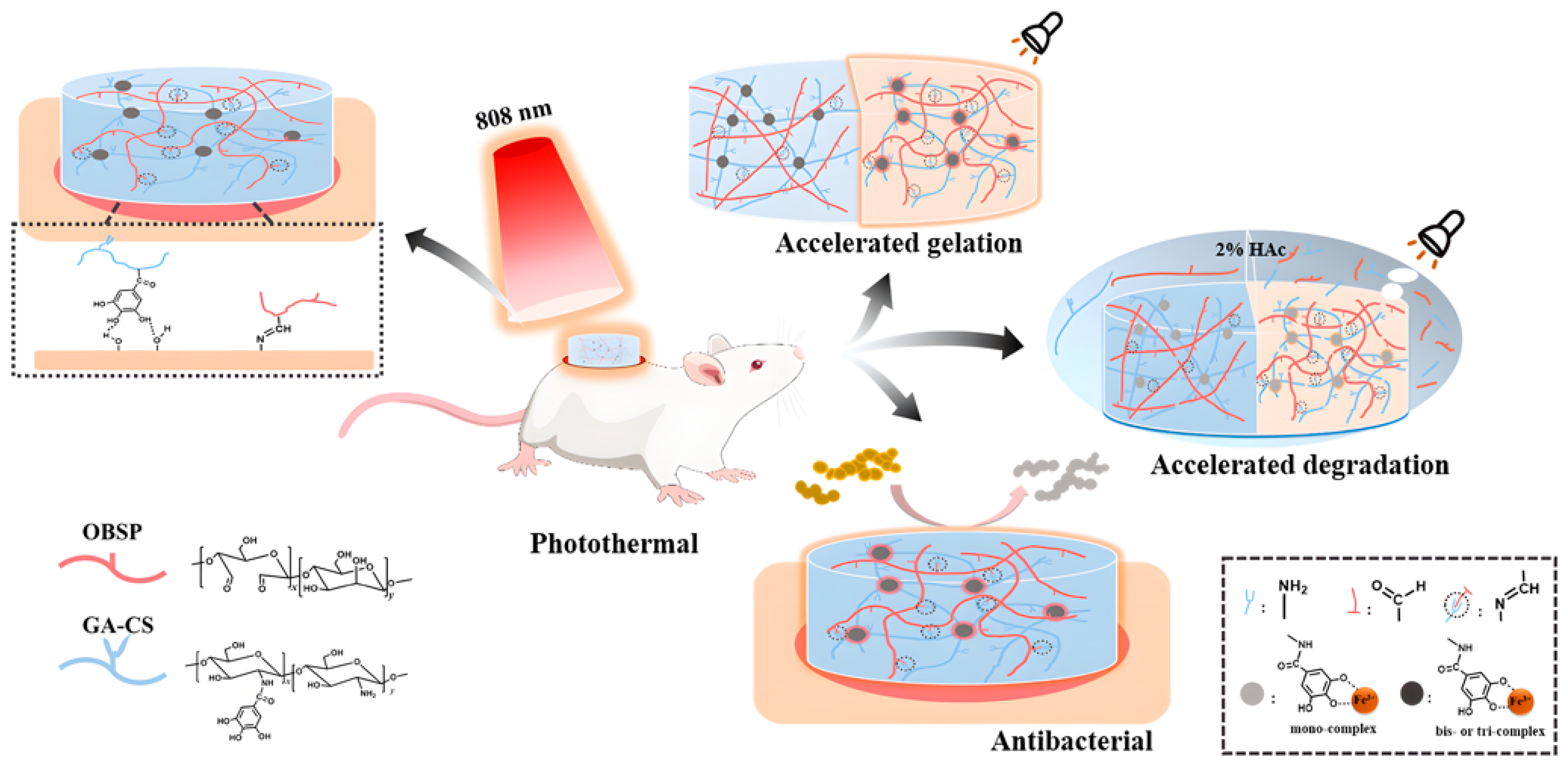 Pharmaceuticals 15 00602 g002