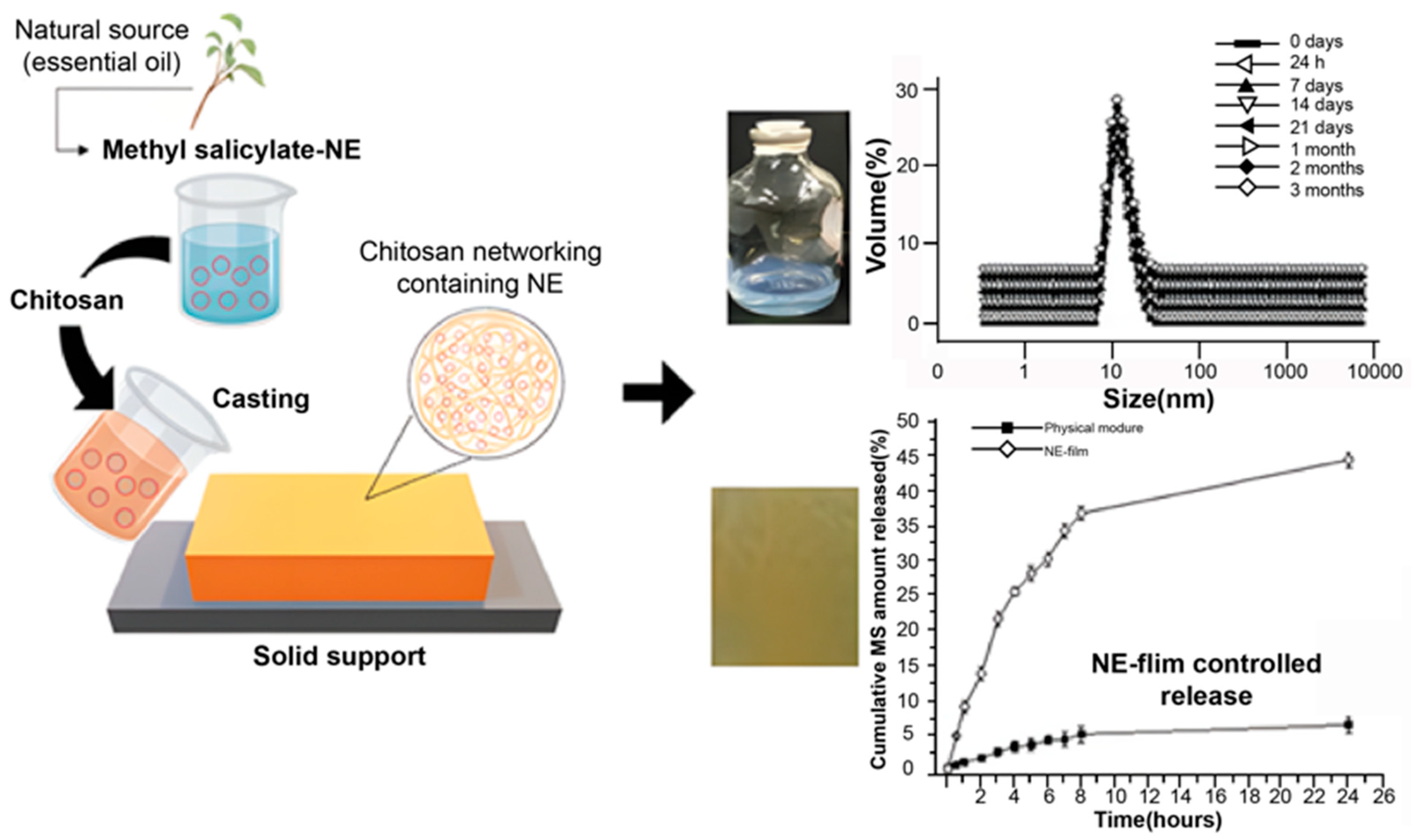 Pharmaceuticals 15 00602 g003