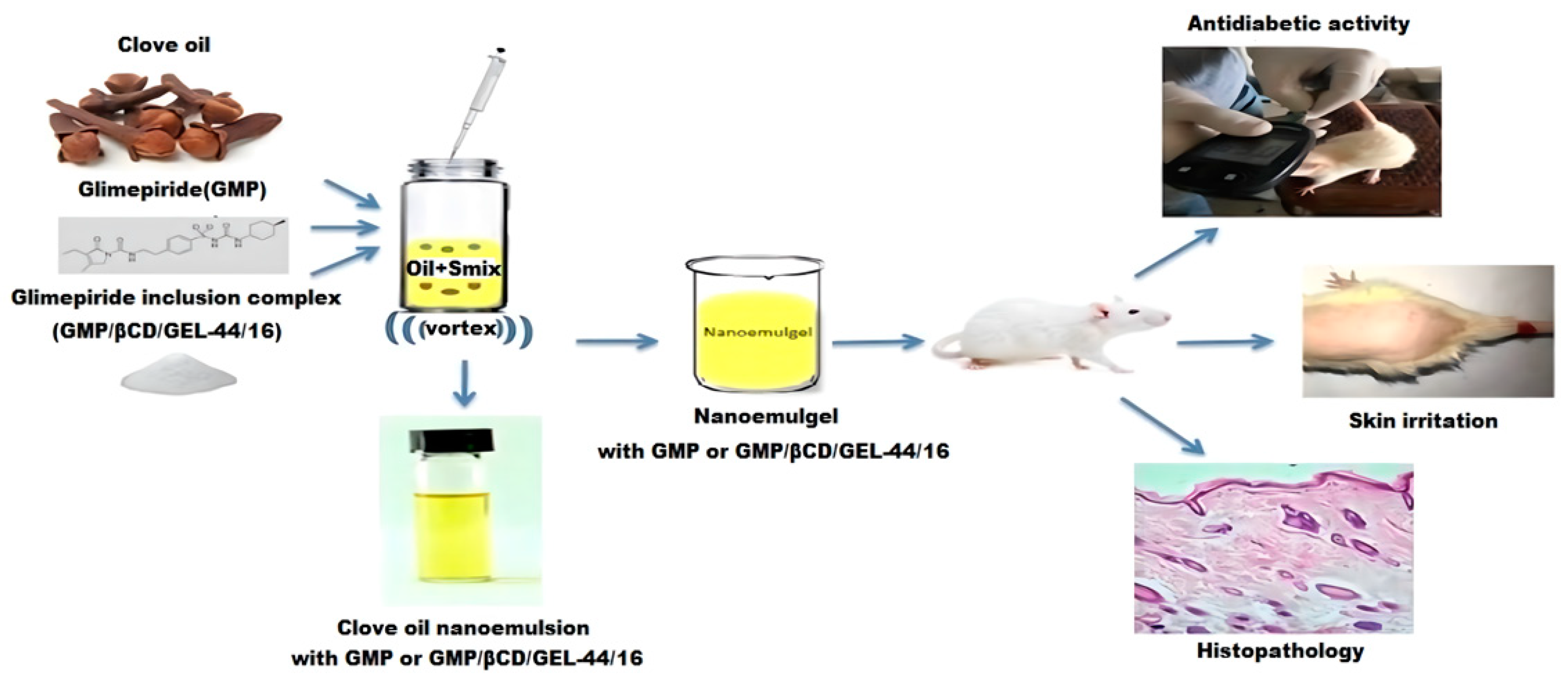 Pharmaceuticals 15 00602 g005