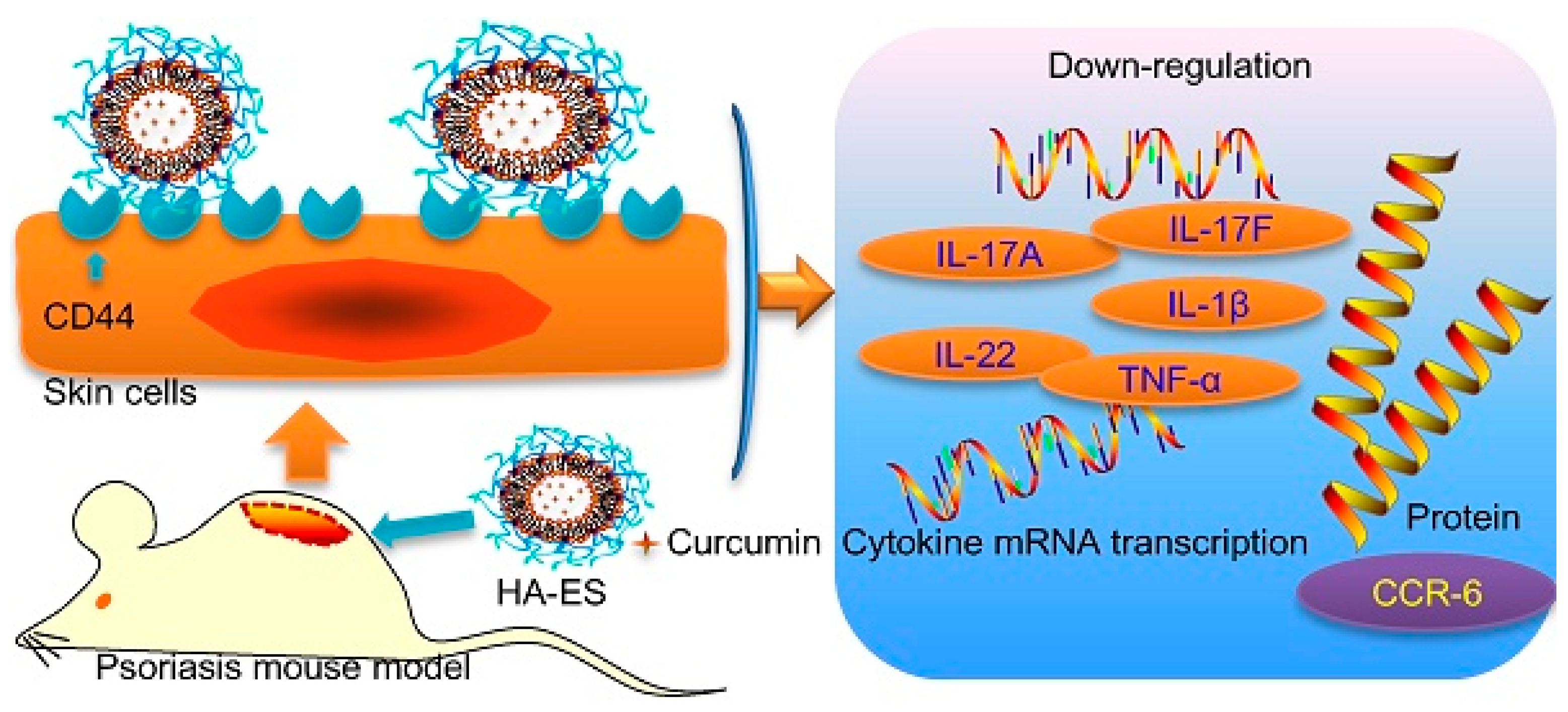 Pharmaceuticals 15 00602 g006