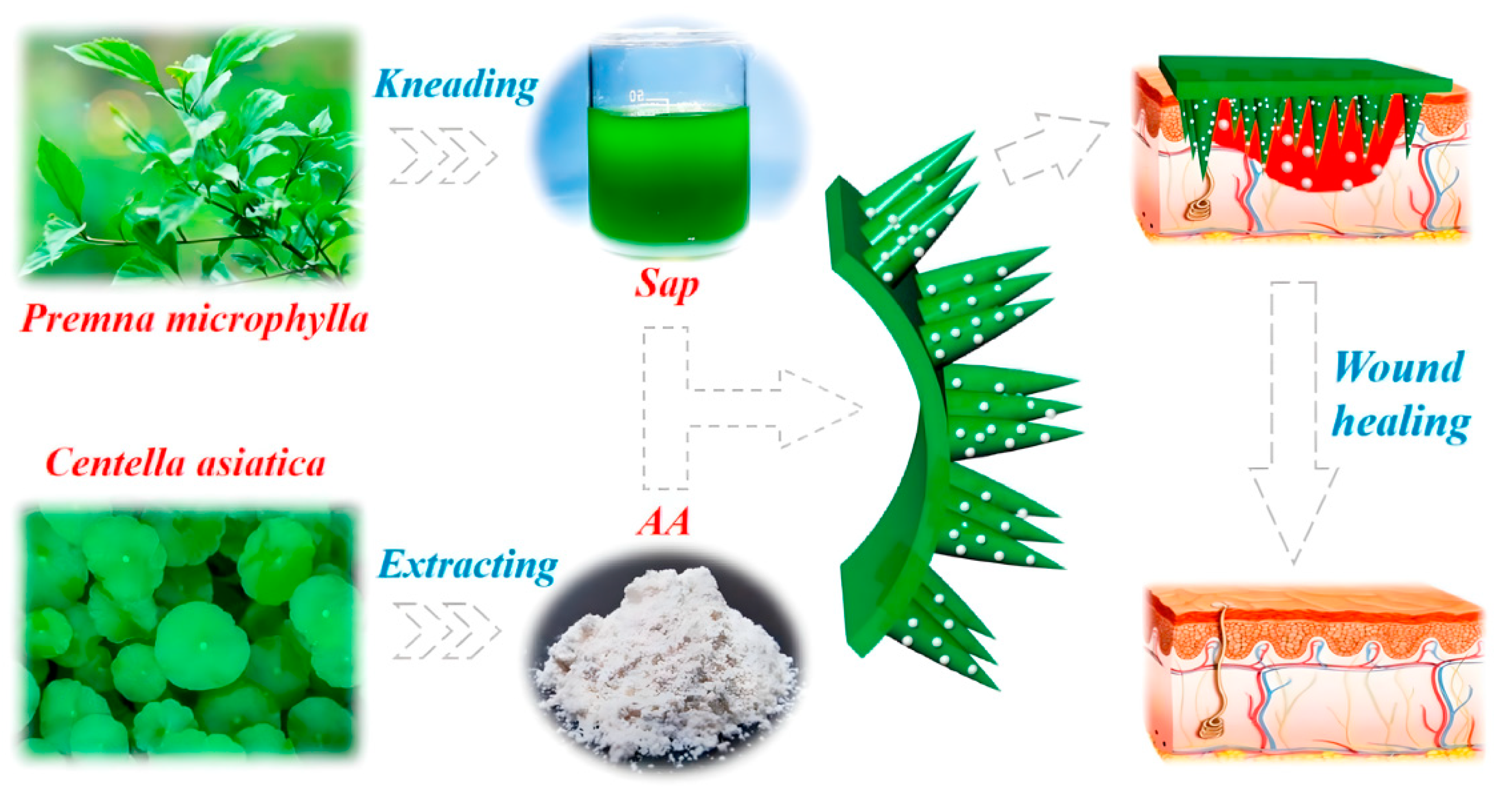 Pharmaceuticals 15 00602 g008