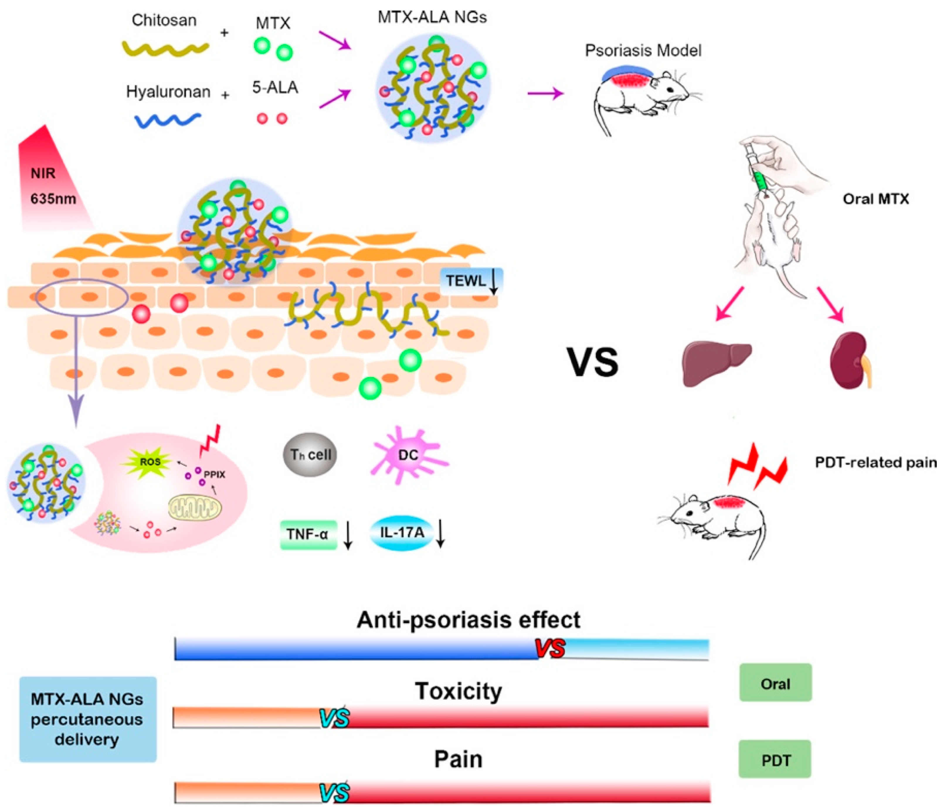 Pharmaceuticals 15 00602 g010