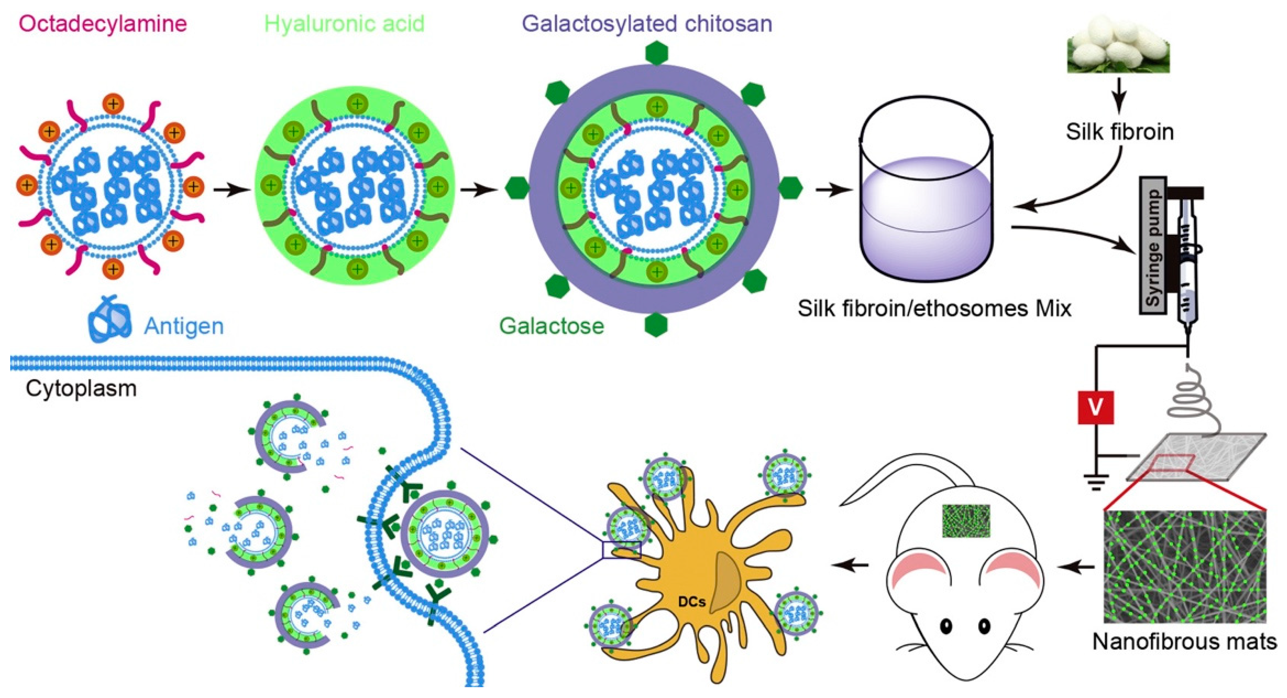 Pharmaceuticals 15 00602 g013