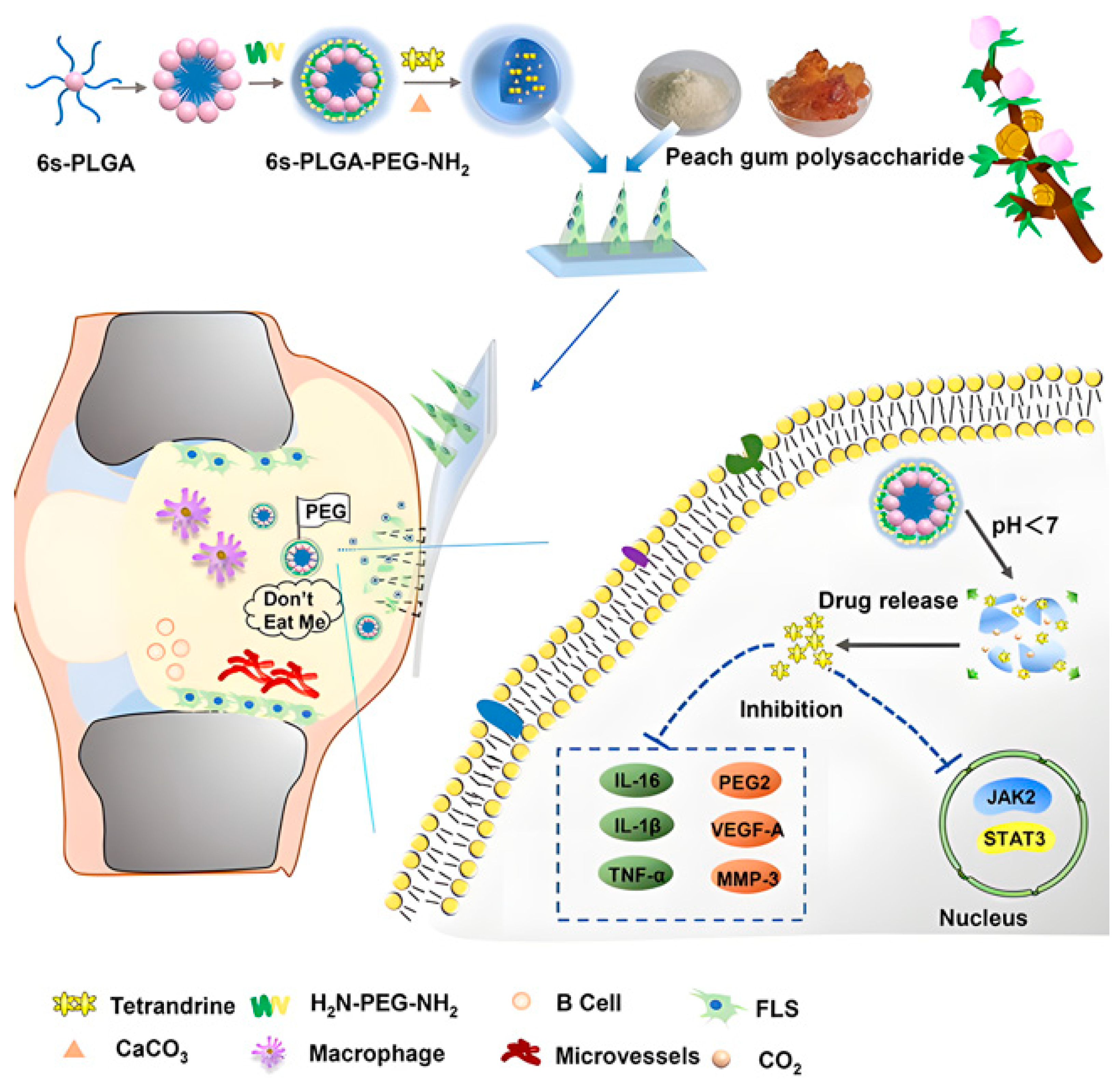 Pharmaceuticals 15 00602 g015
