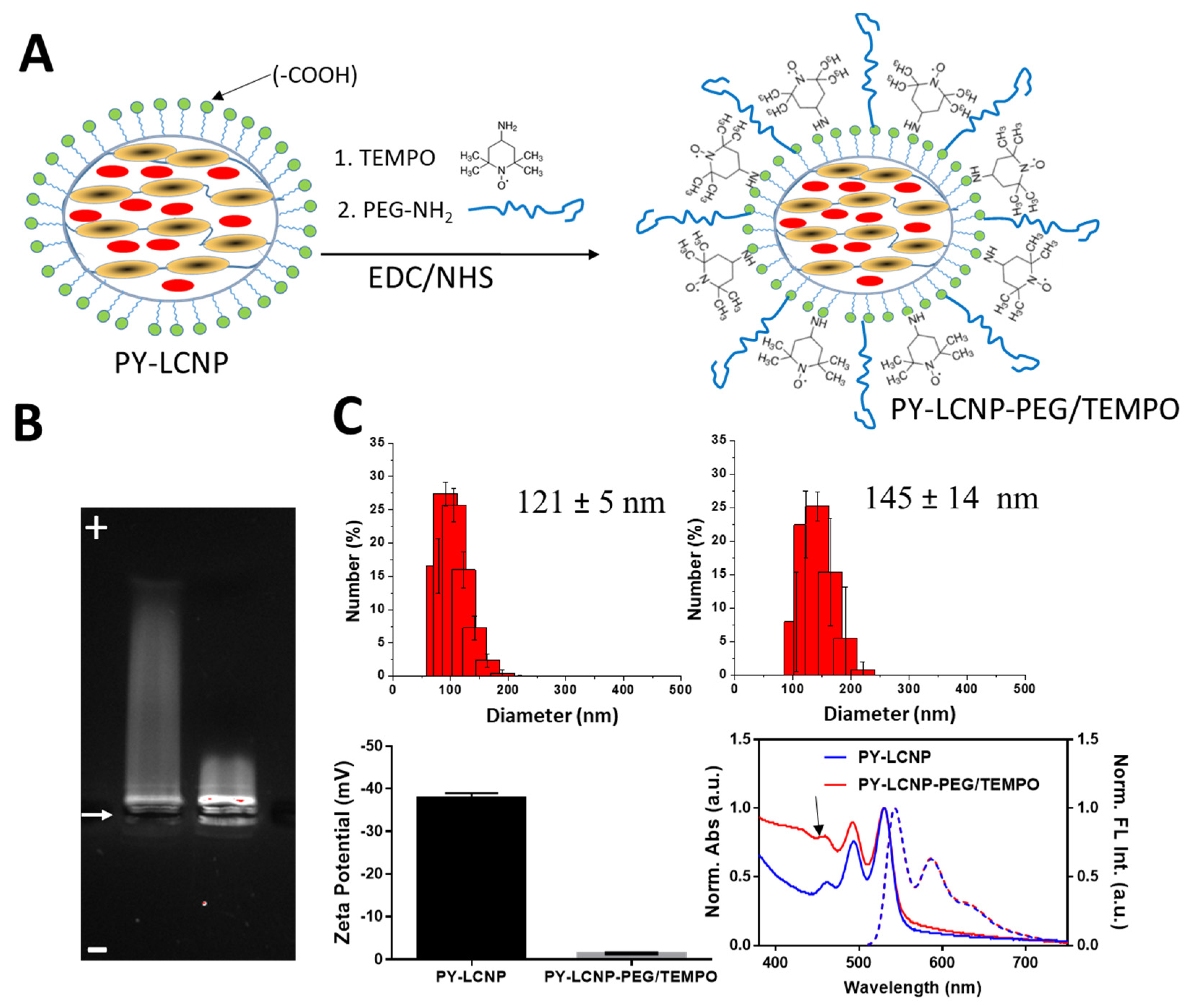 Pharmaceuticals 15 00604 g001