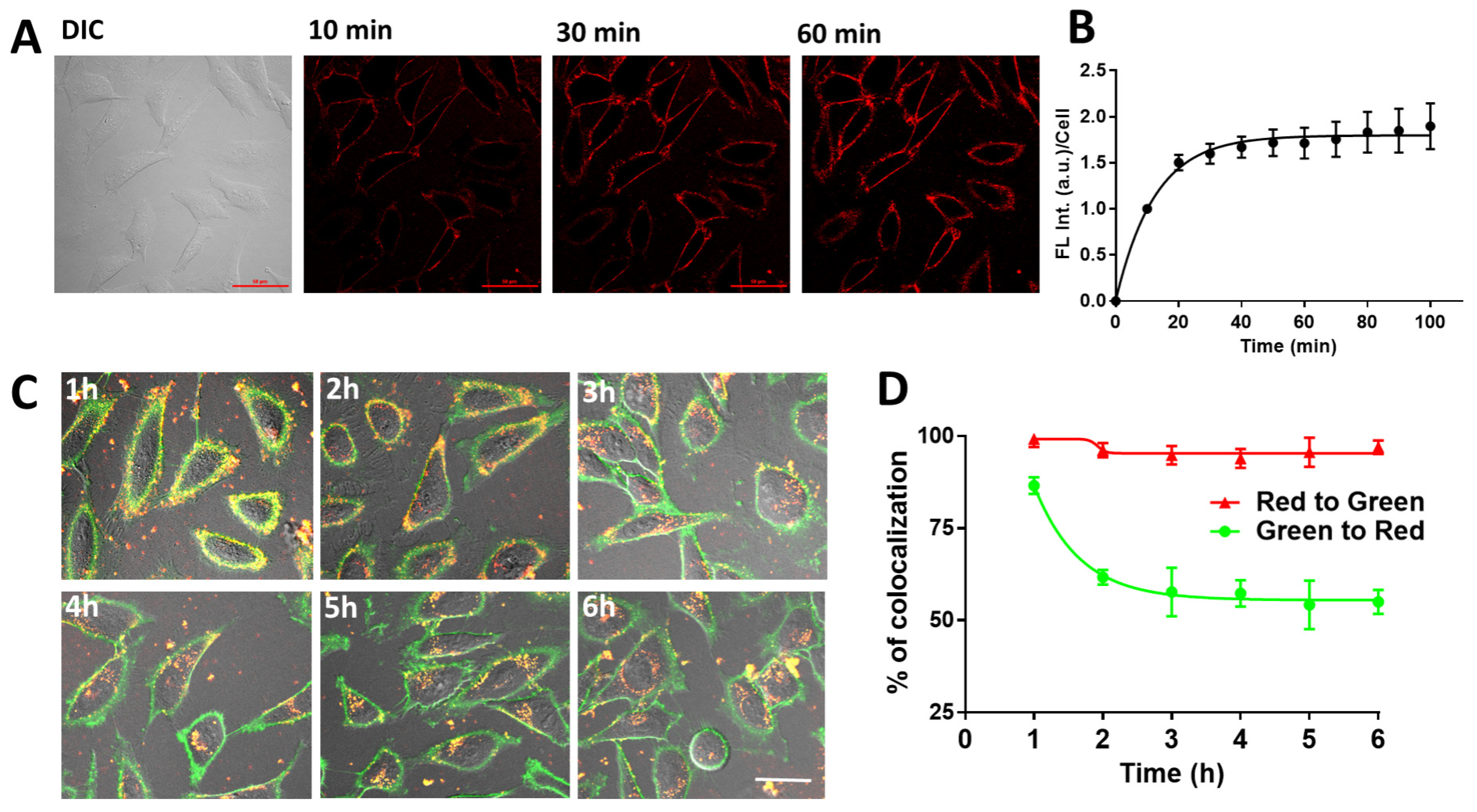 Pharmaceuticals 15 00604 g002