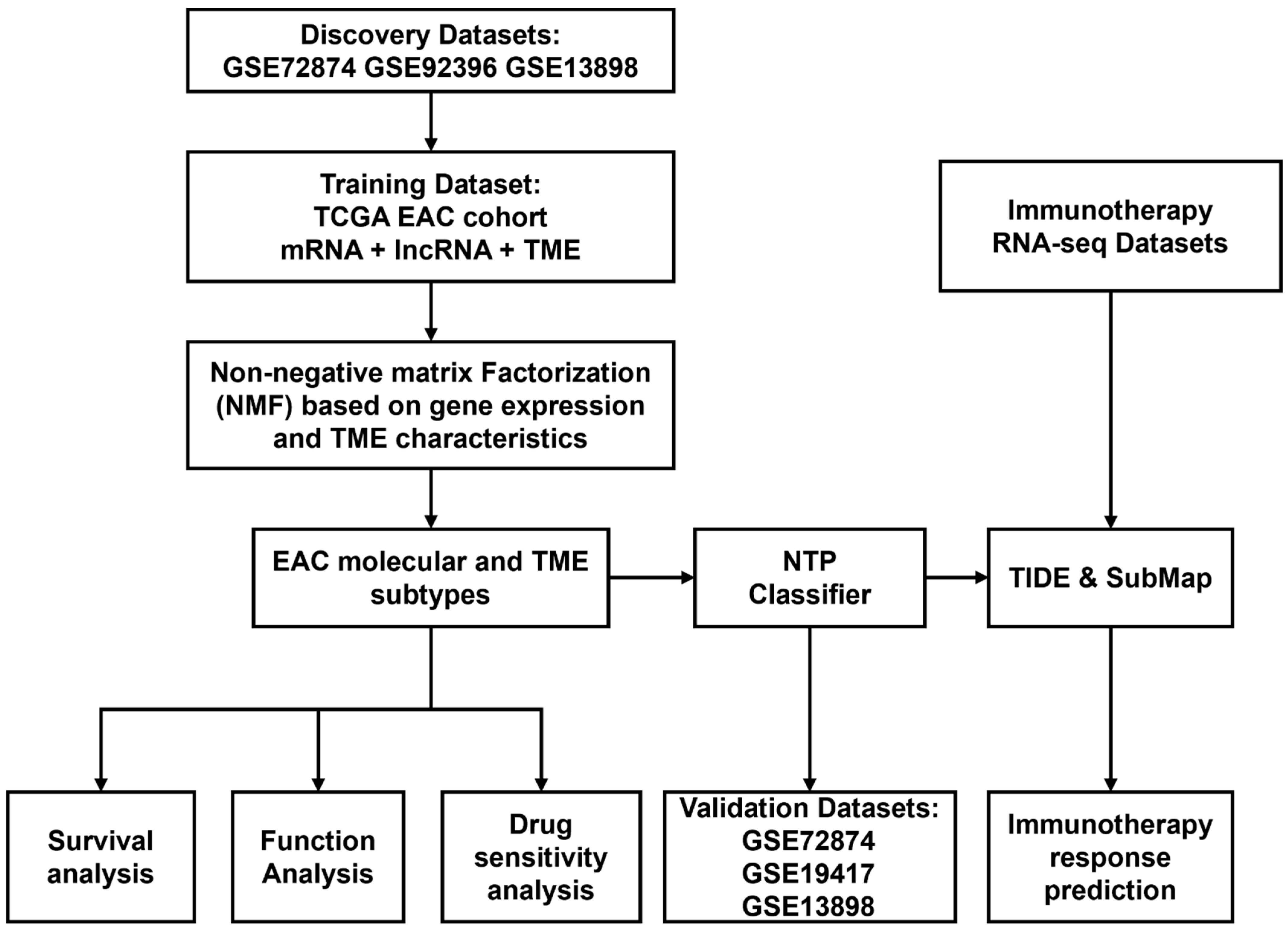 Pharmaceuticals 15 00605 g001