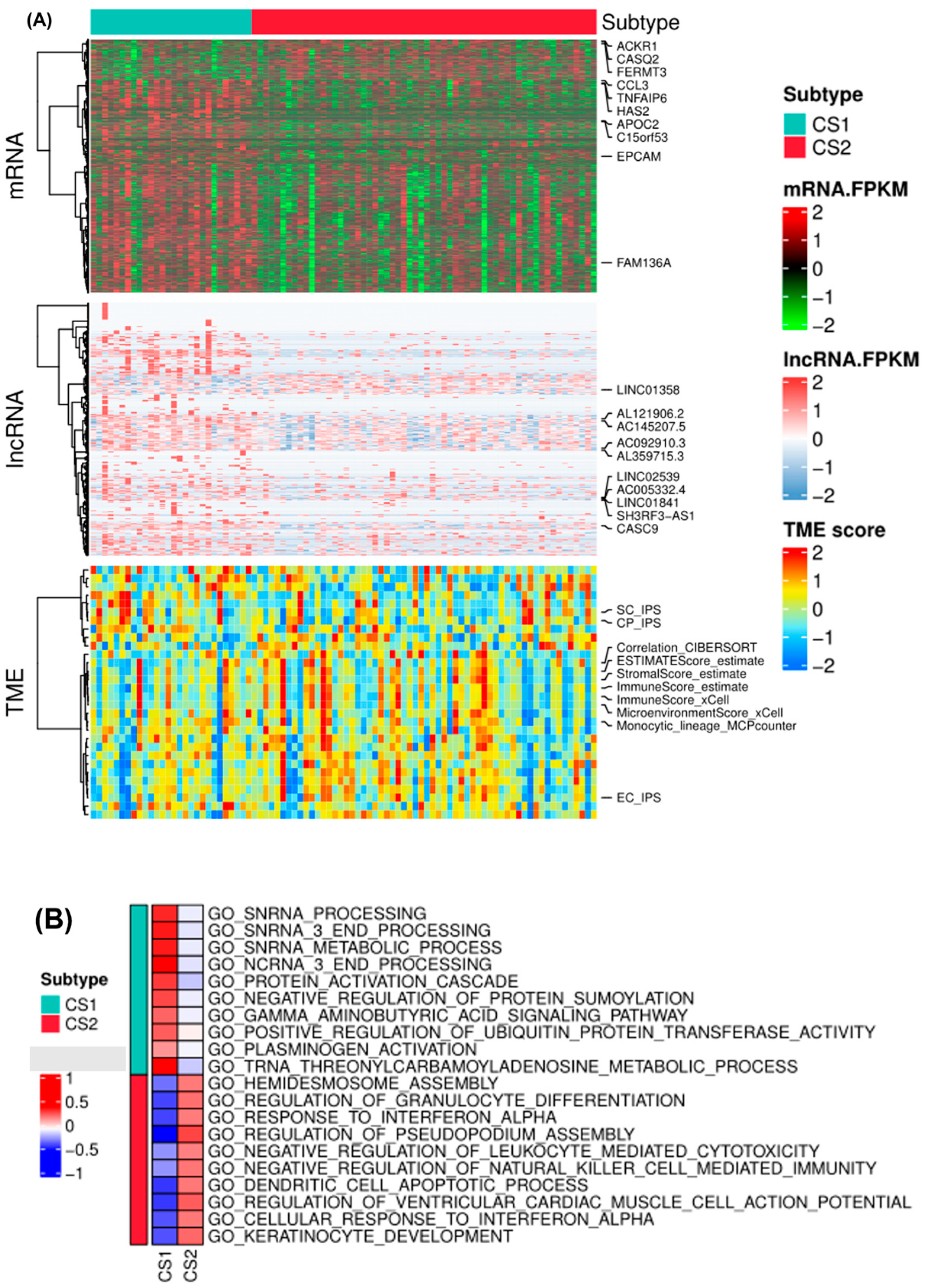 Pharmaceuticals 15 00605 g003a