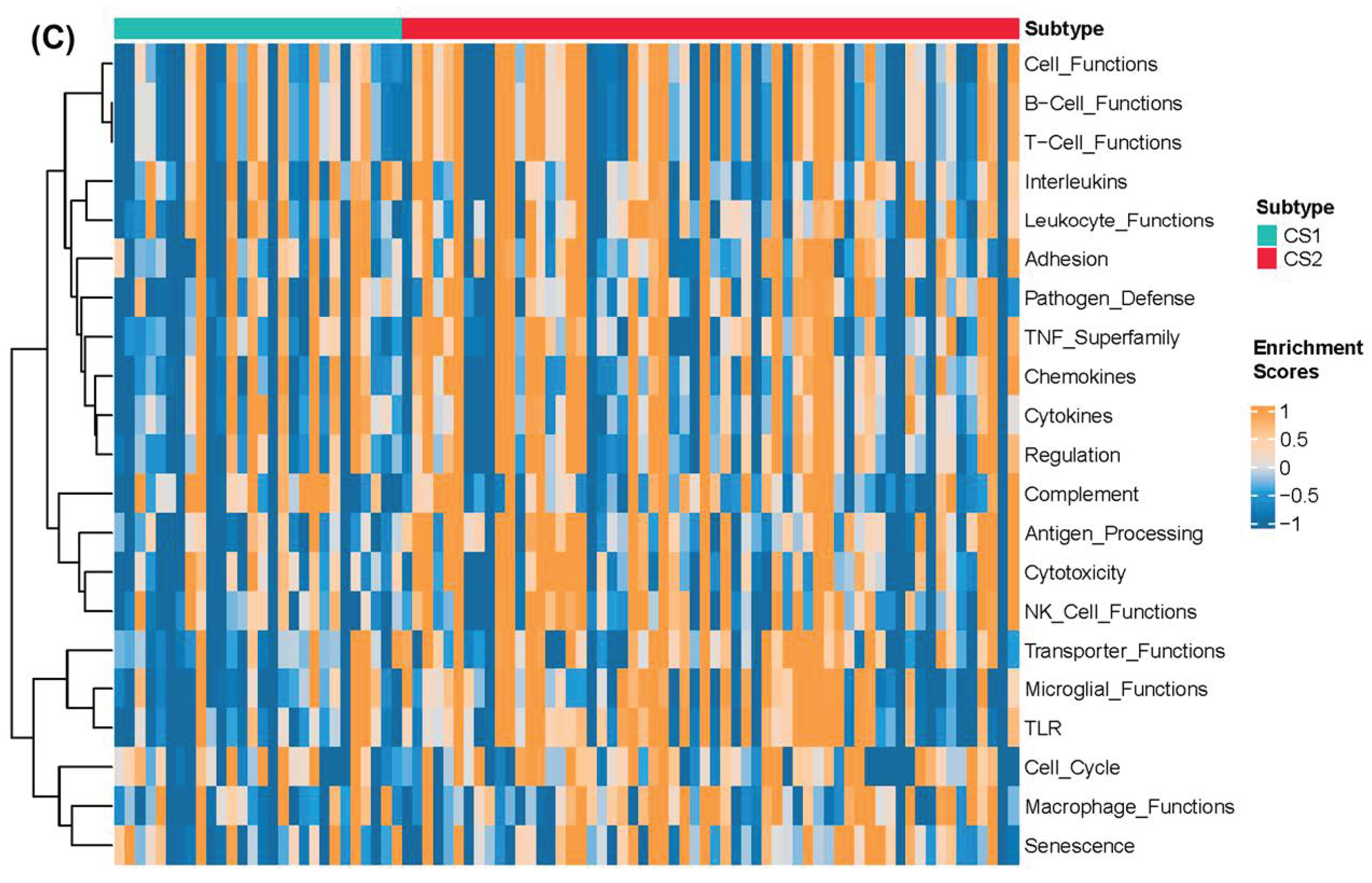 Pharmaceuticals 15 00605 g003b