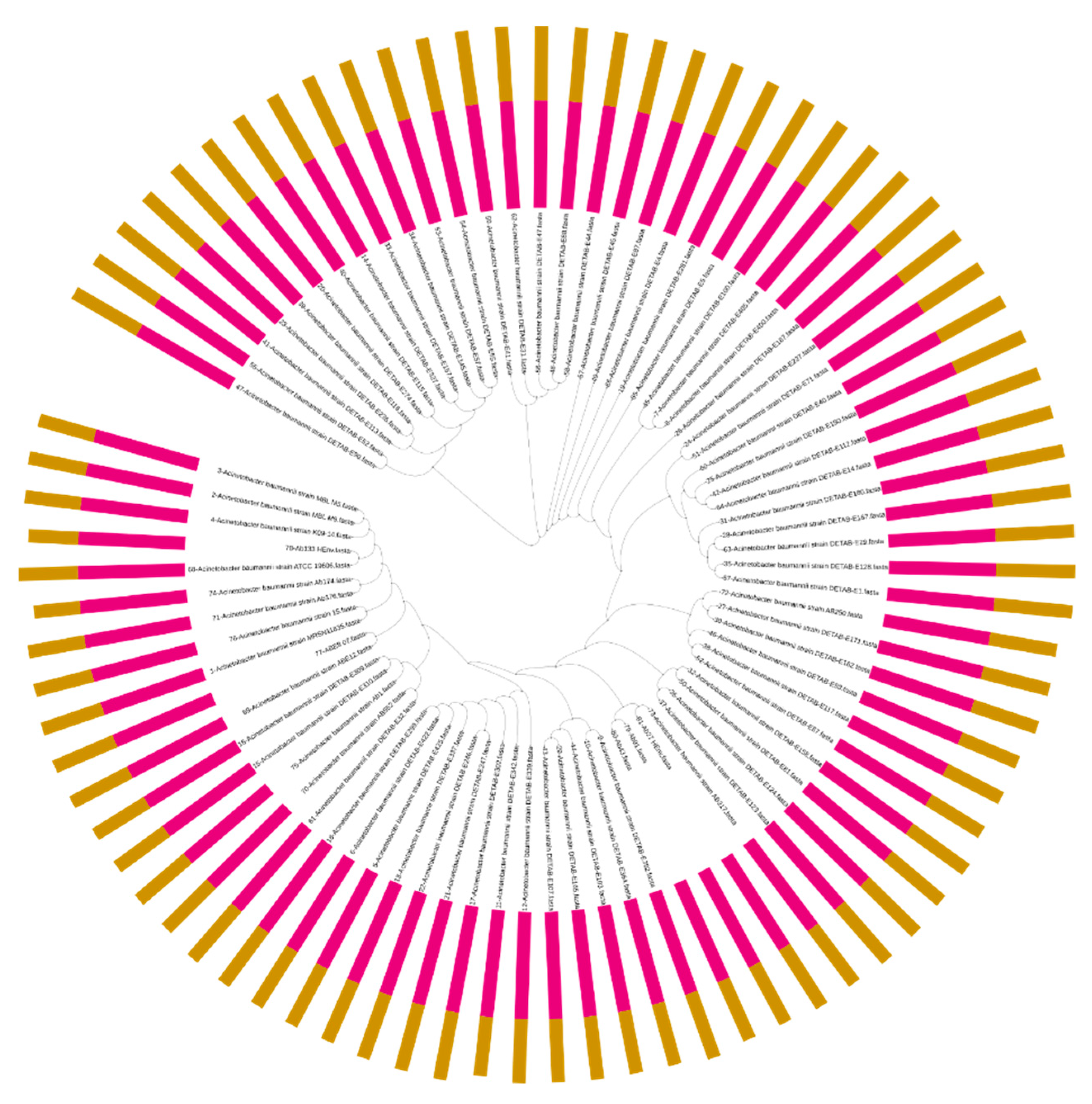 Pharmaceuticals 15 00611 g005