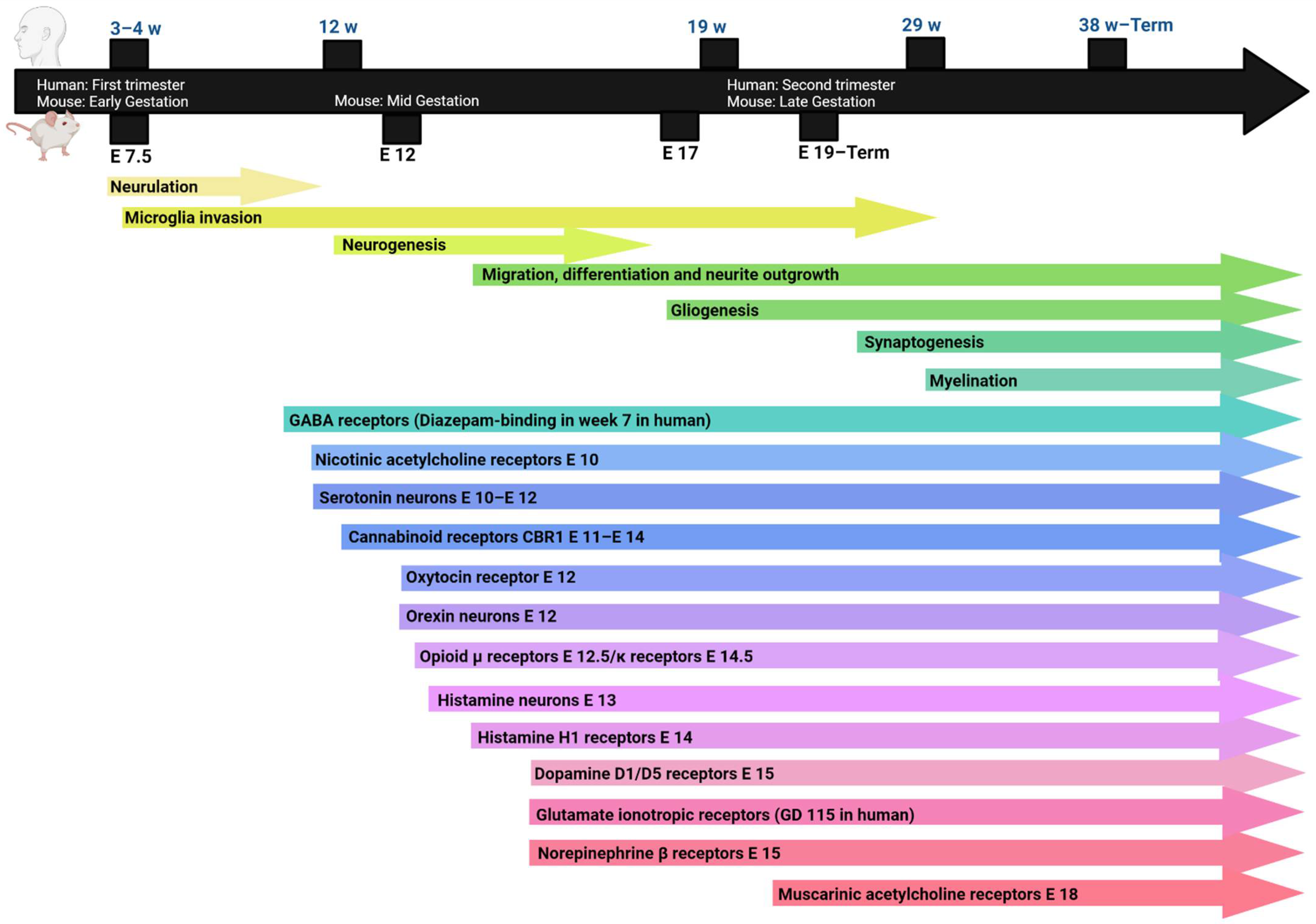 Pharmaceuticals 15 00612 g001