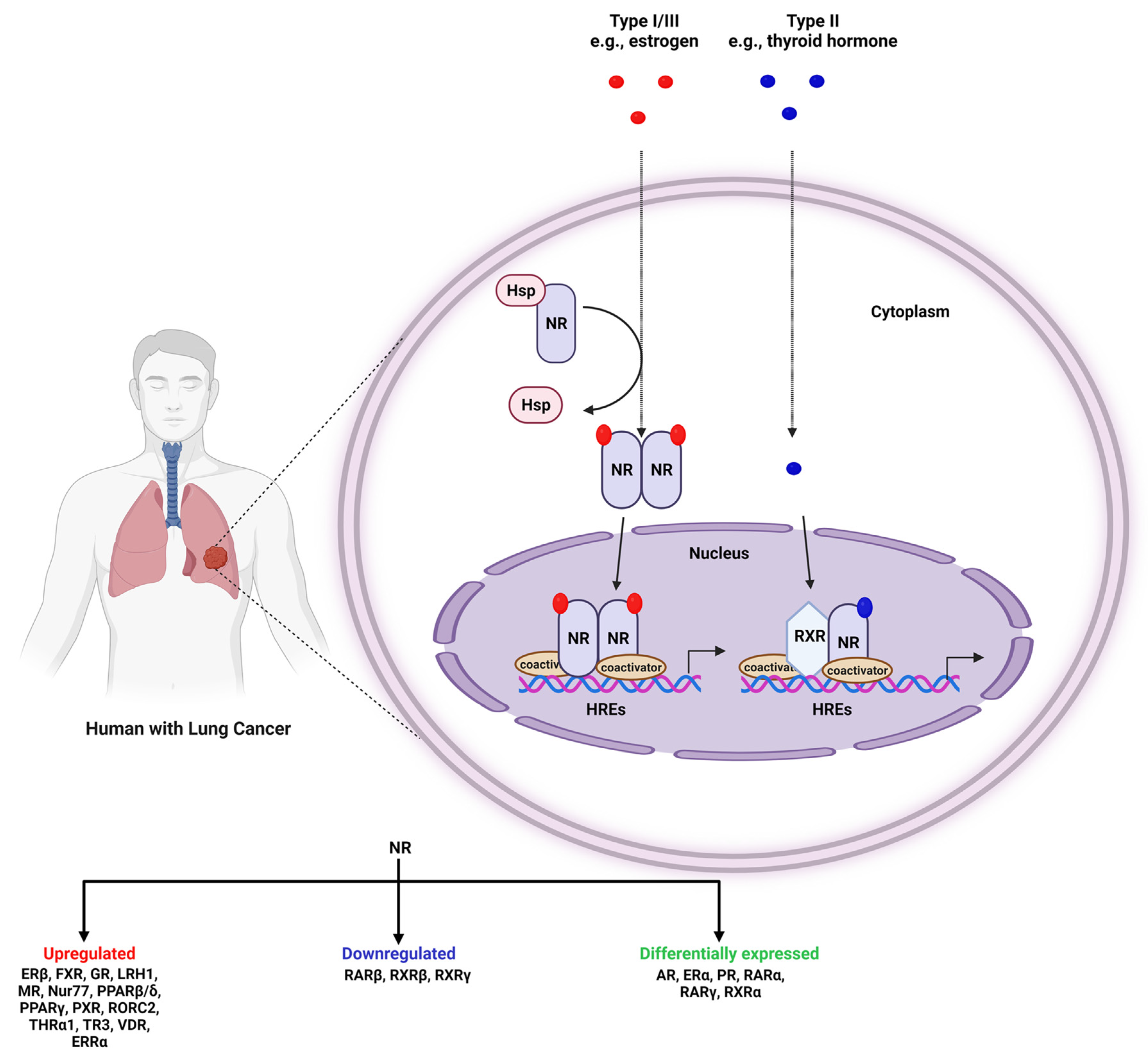 Pharmaceuticals 15 00624 g001 Pharmaceuticals 15 00624 g001