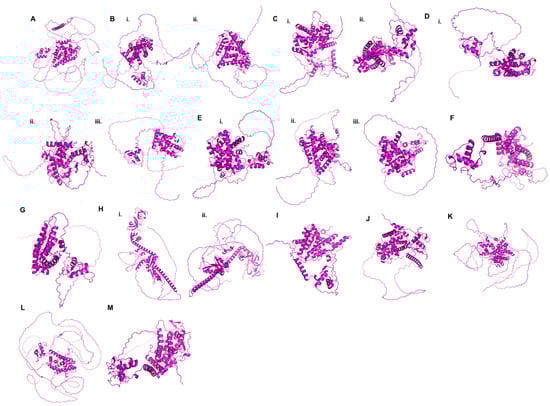 Pharmaceuticals 15 00624 g003