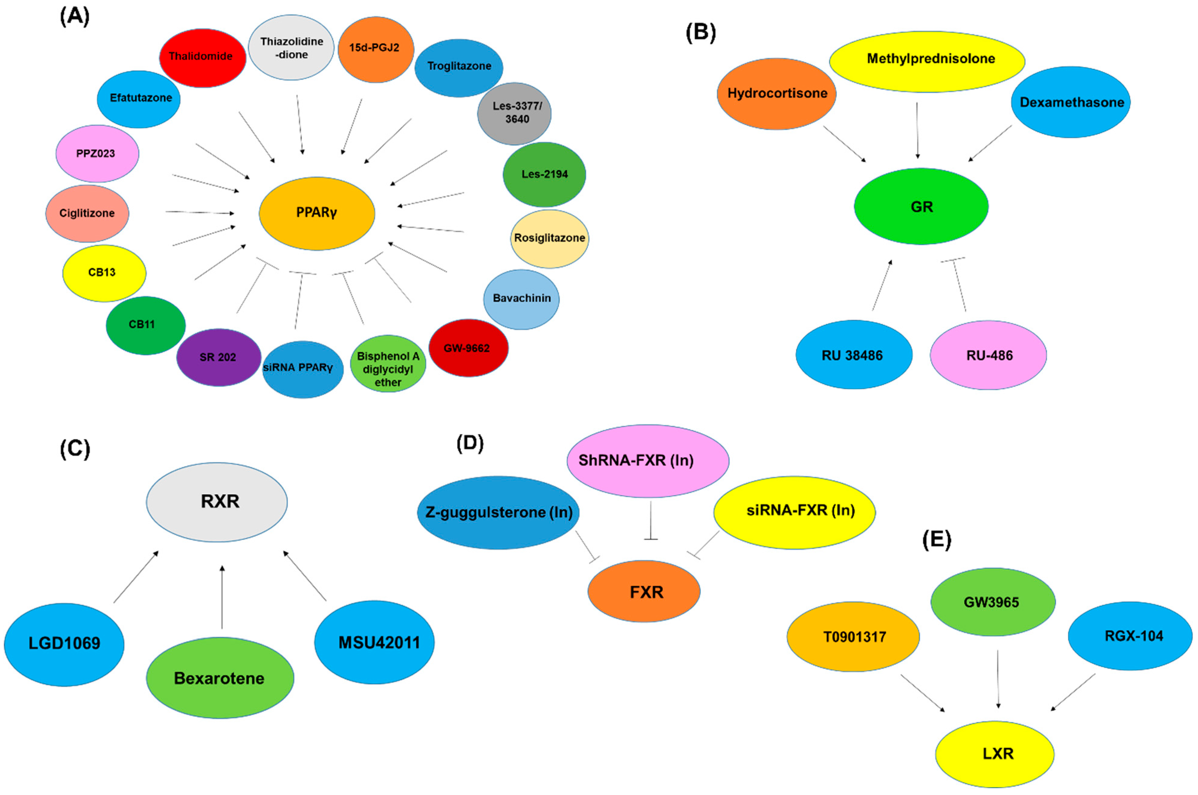 Pharmaceuticals 15 00624 g004 Pharmaceuticals 15 00624 g004