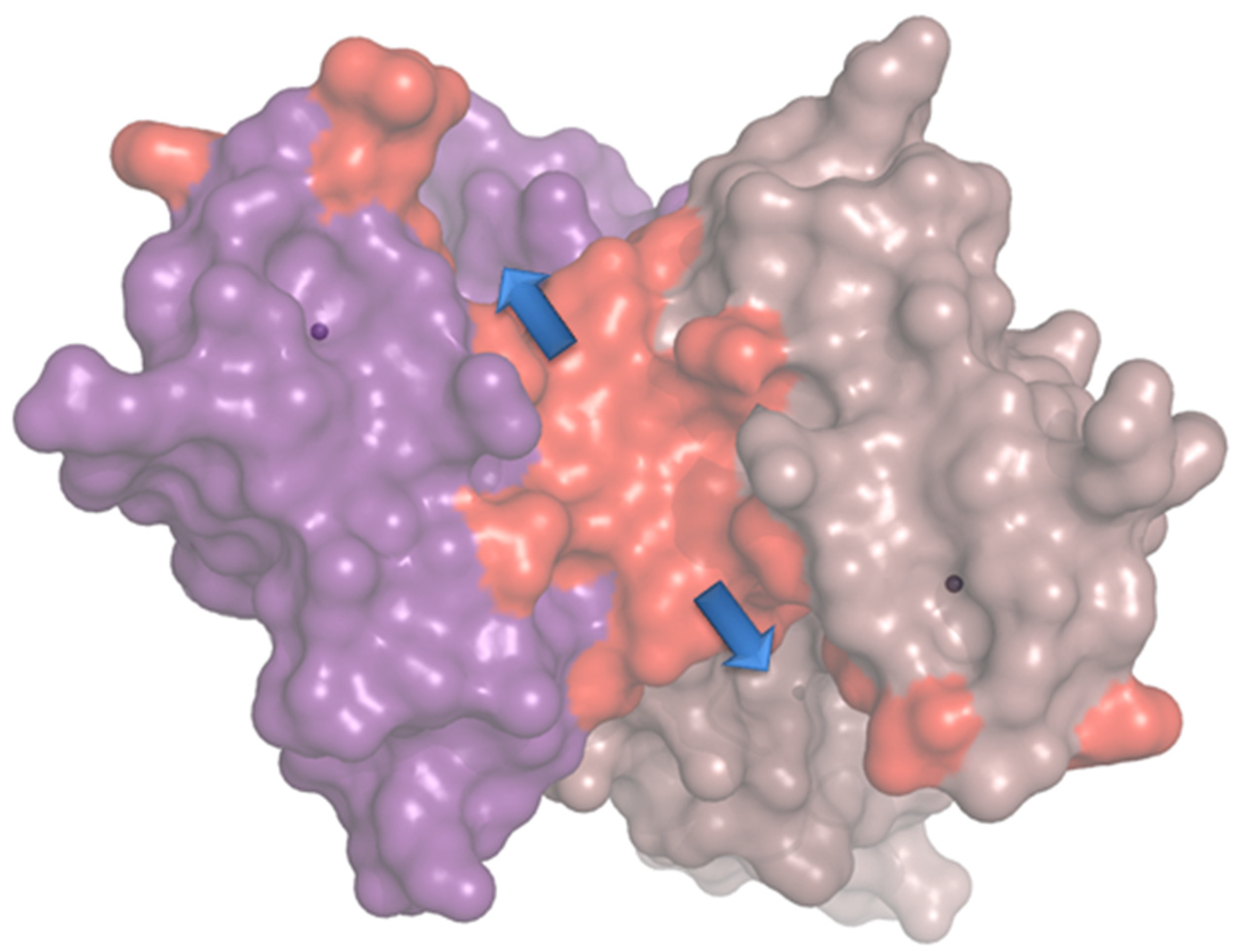 Pharmaceuticals 15 00632 g005