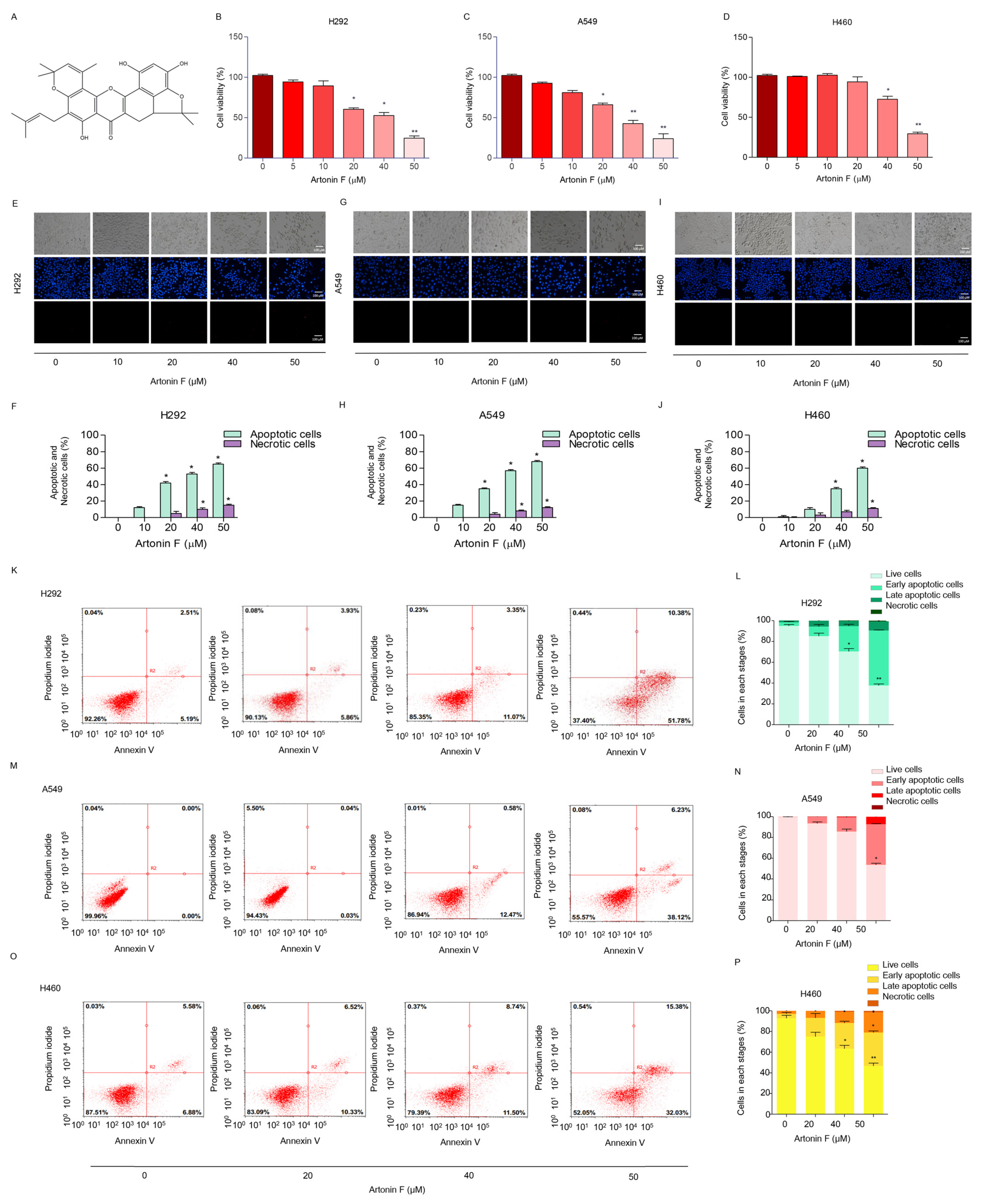 Pharmaceuticals 15 00633 g001