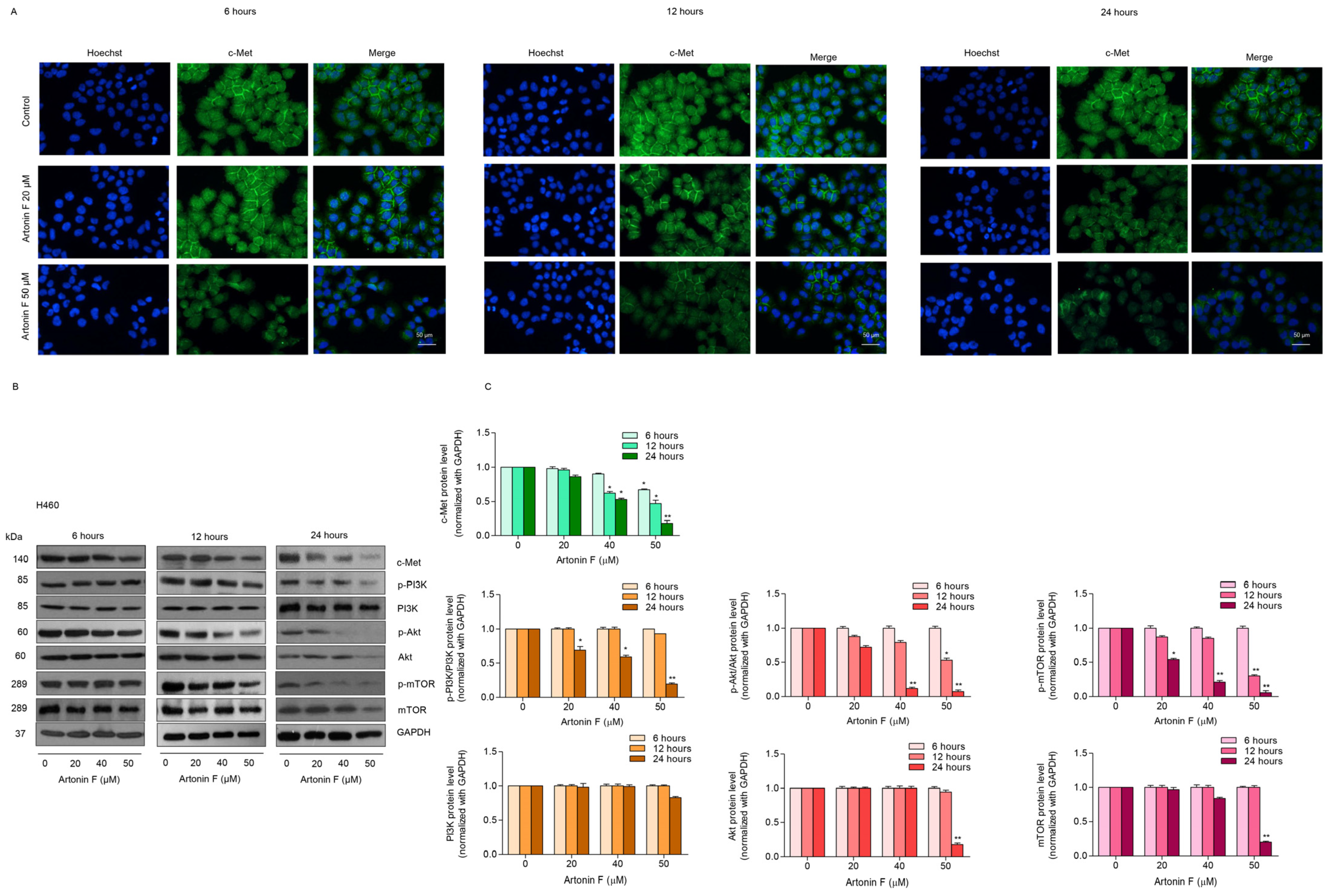 Pharmaceuticals 15 00633 g003