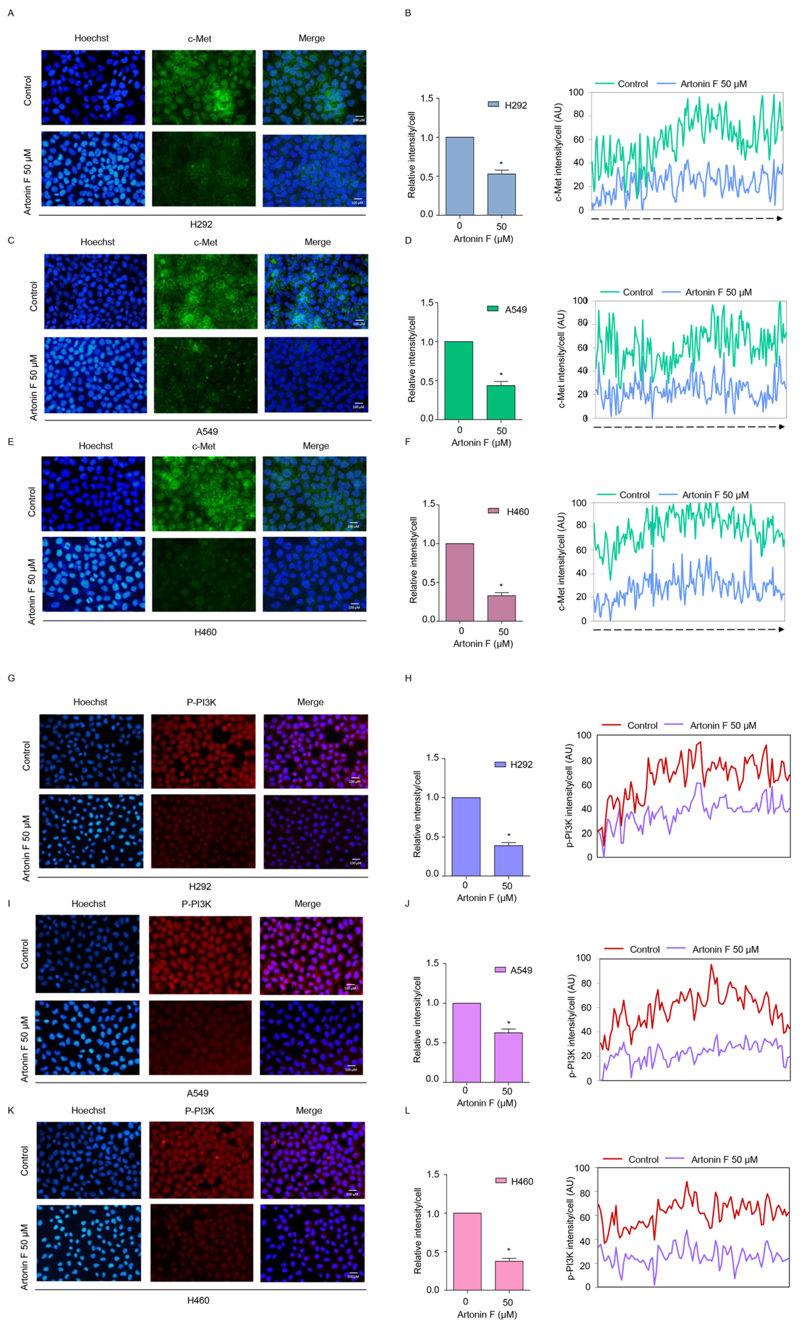 Pharmaceuticals 15 00633 g004