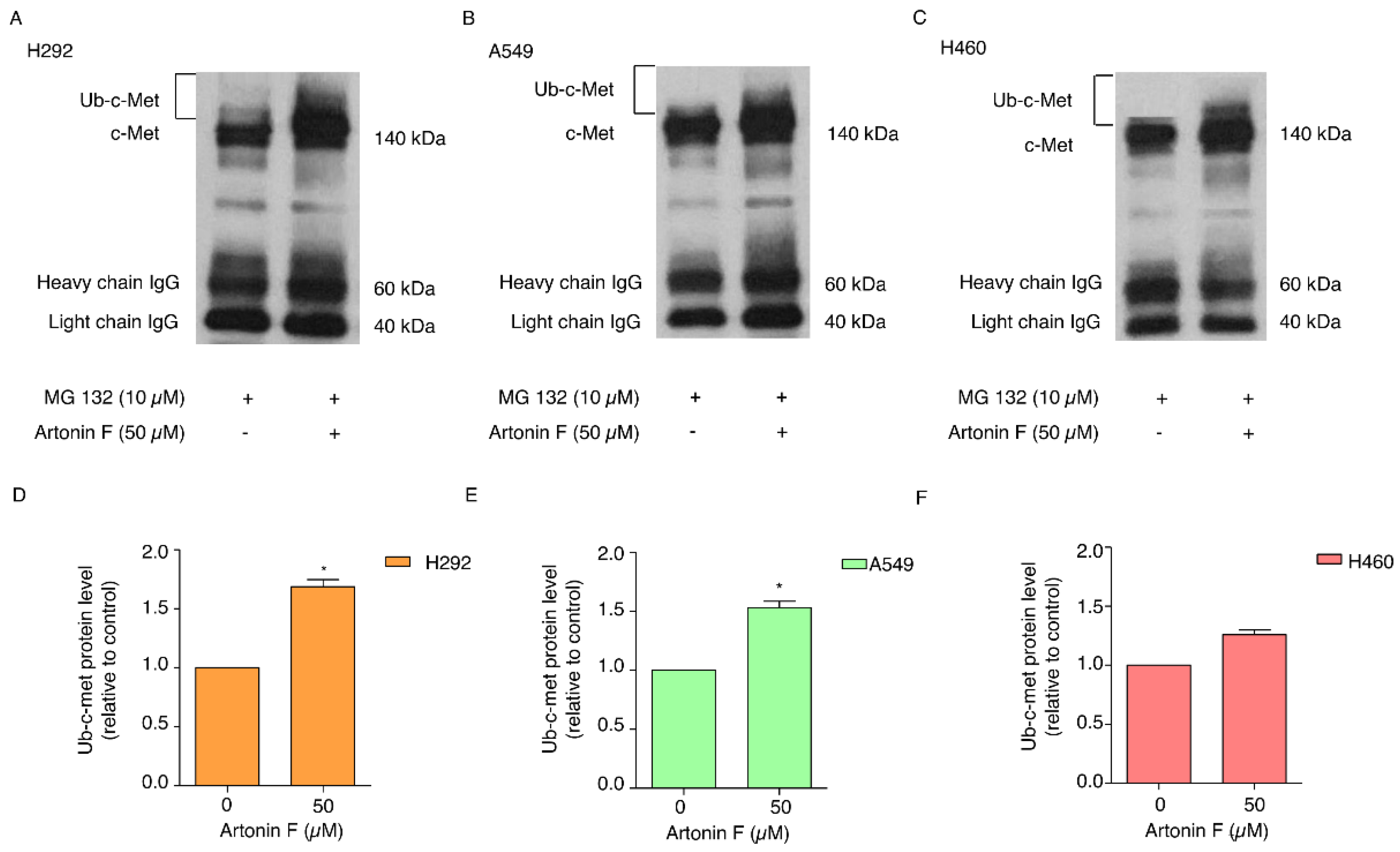 Pharmaceuticals 15 00633 g005