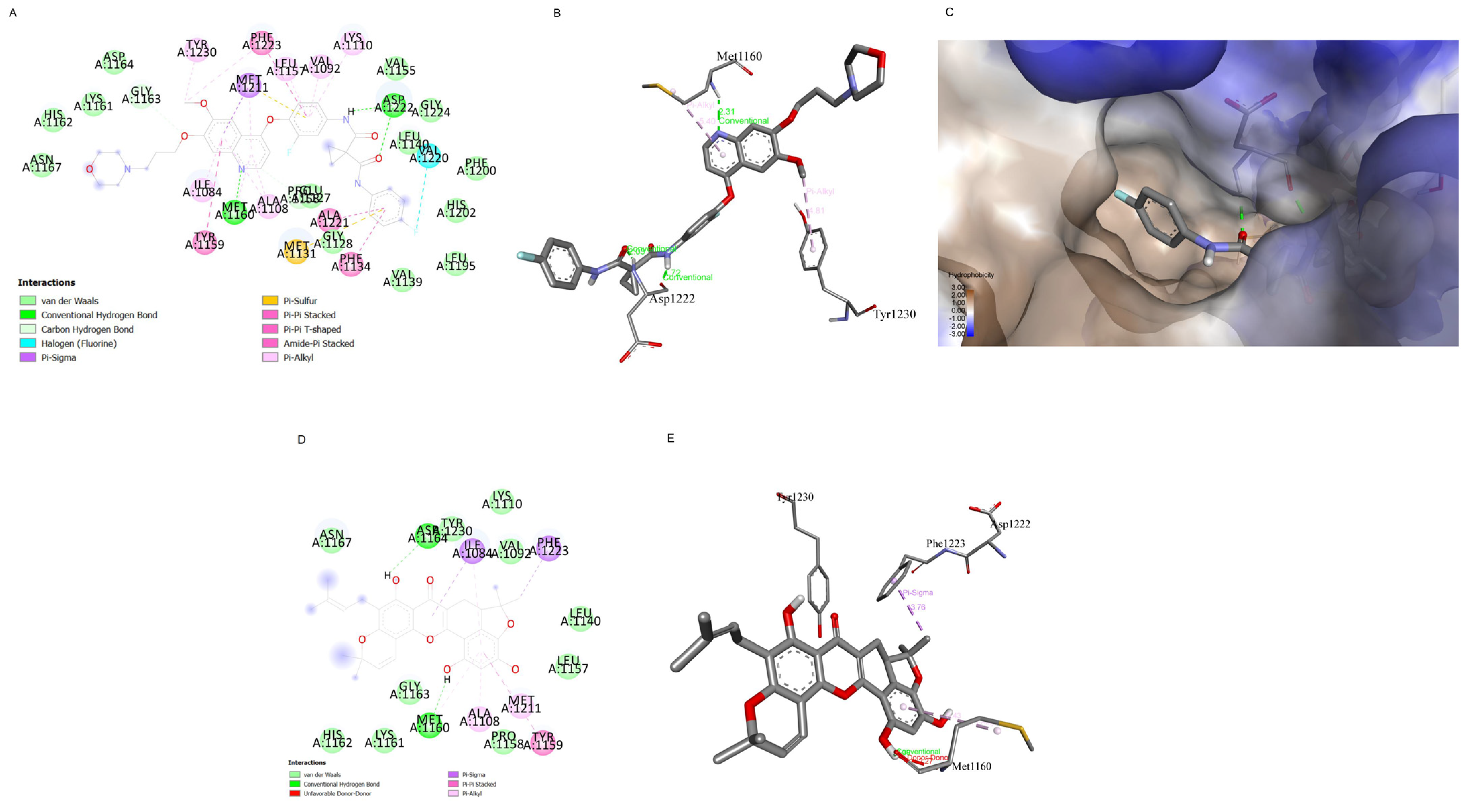 Pharmaceuticals 15 00633 g008