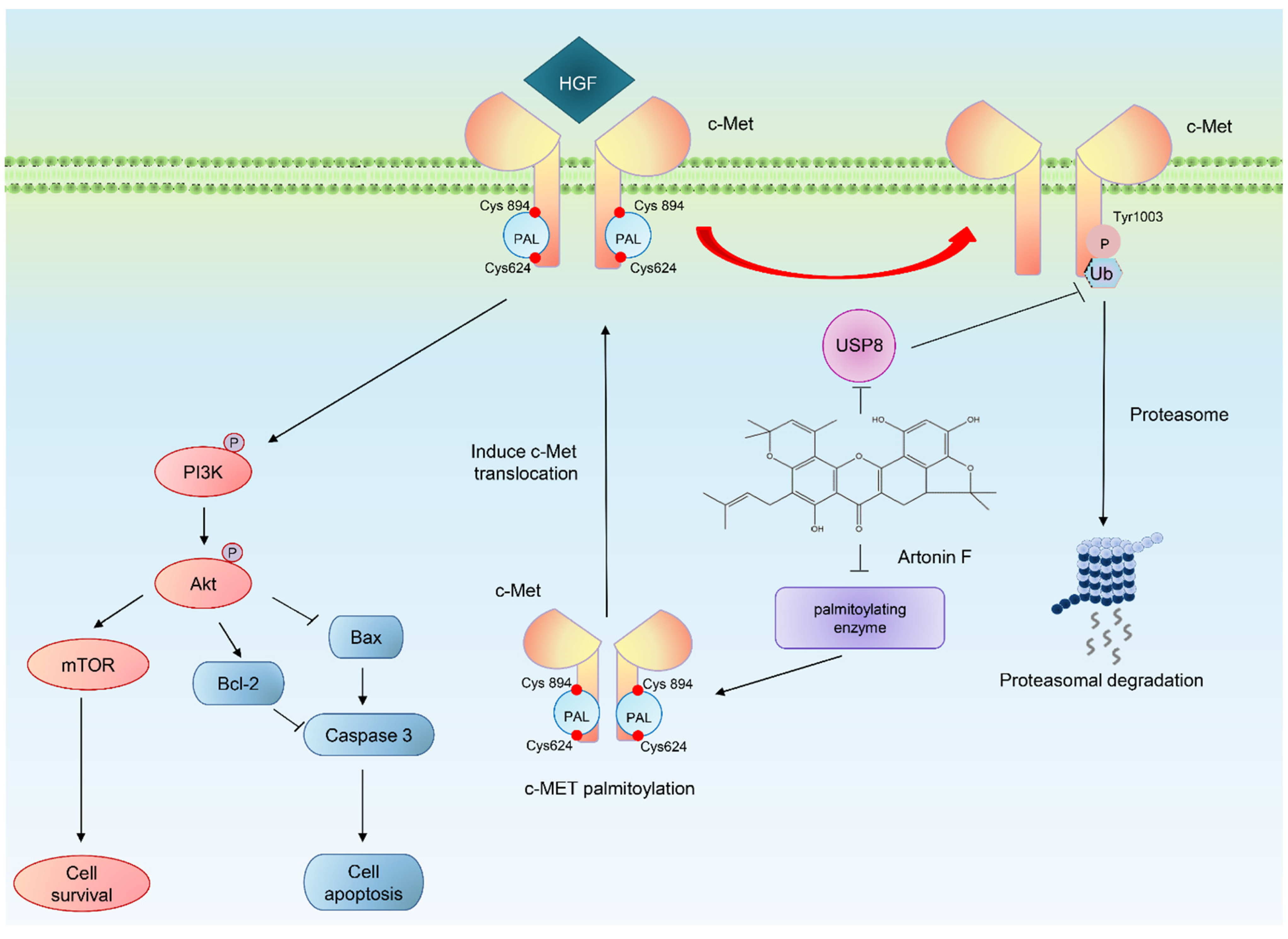 Pharmaceuticals 15 00633 g009