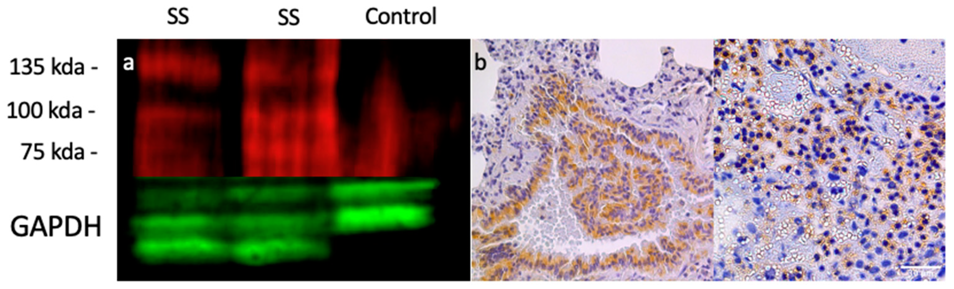 Pharmaceuticals 15 00650 g002
