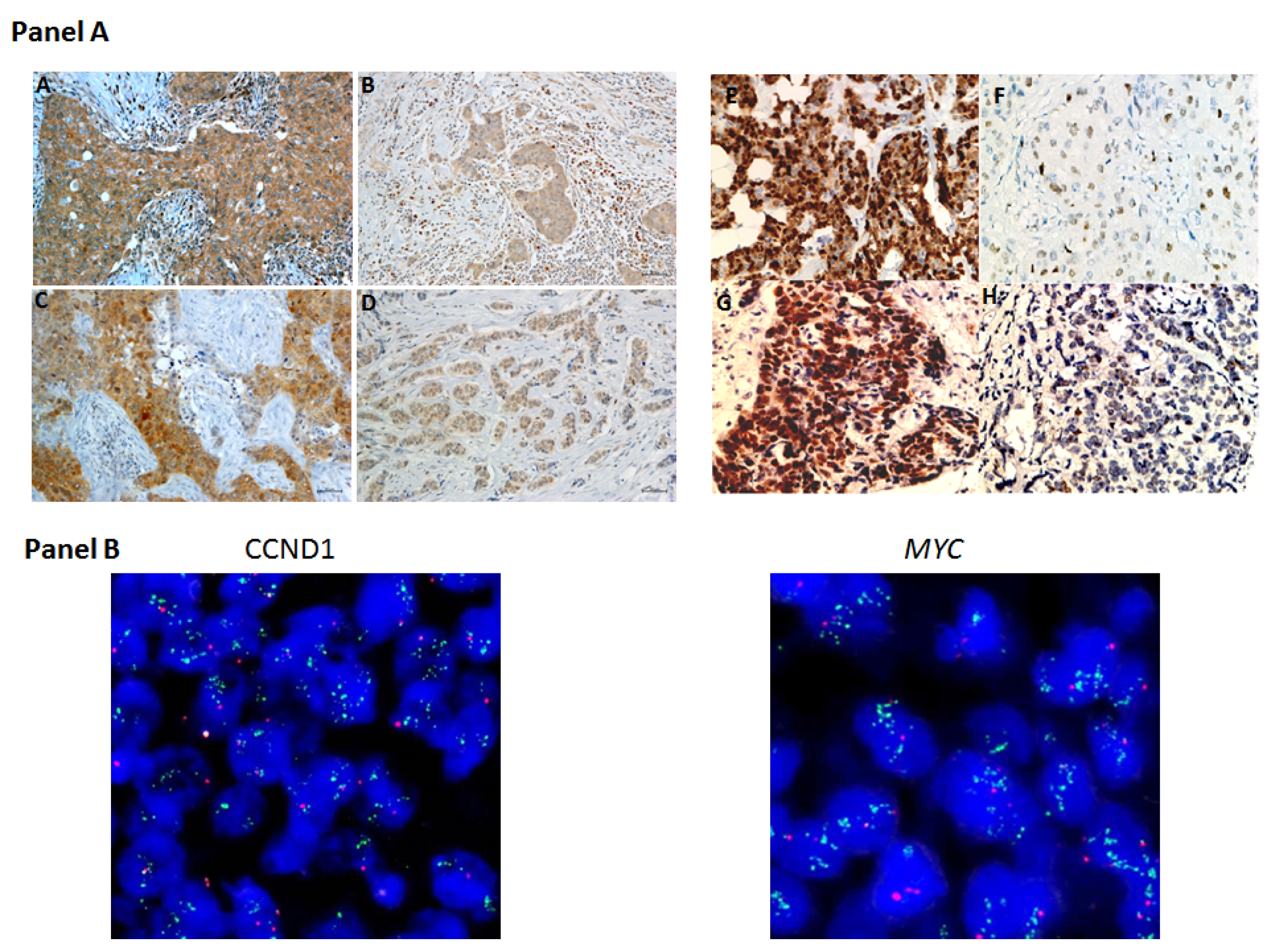 Pharmaceuticals 15 00651 g001