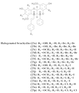 Pharmaceuticals 15 00658 i038 Pharmaceuticals 15 00658 i038