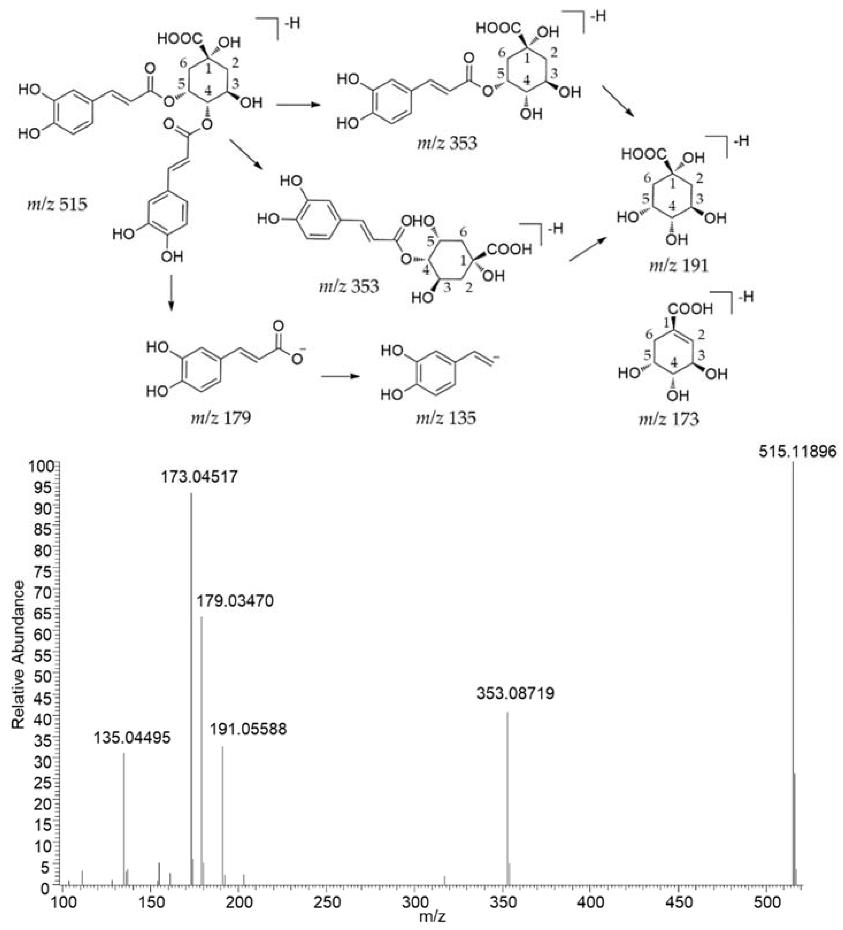 Pharmaceuticals 15 00663 g002
