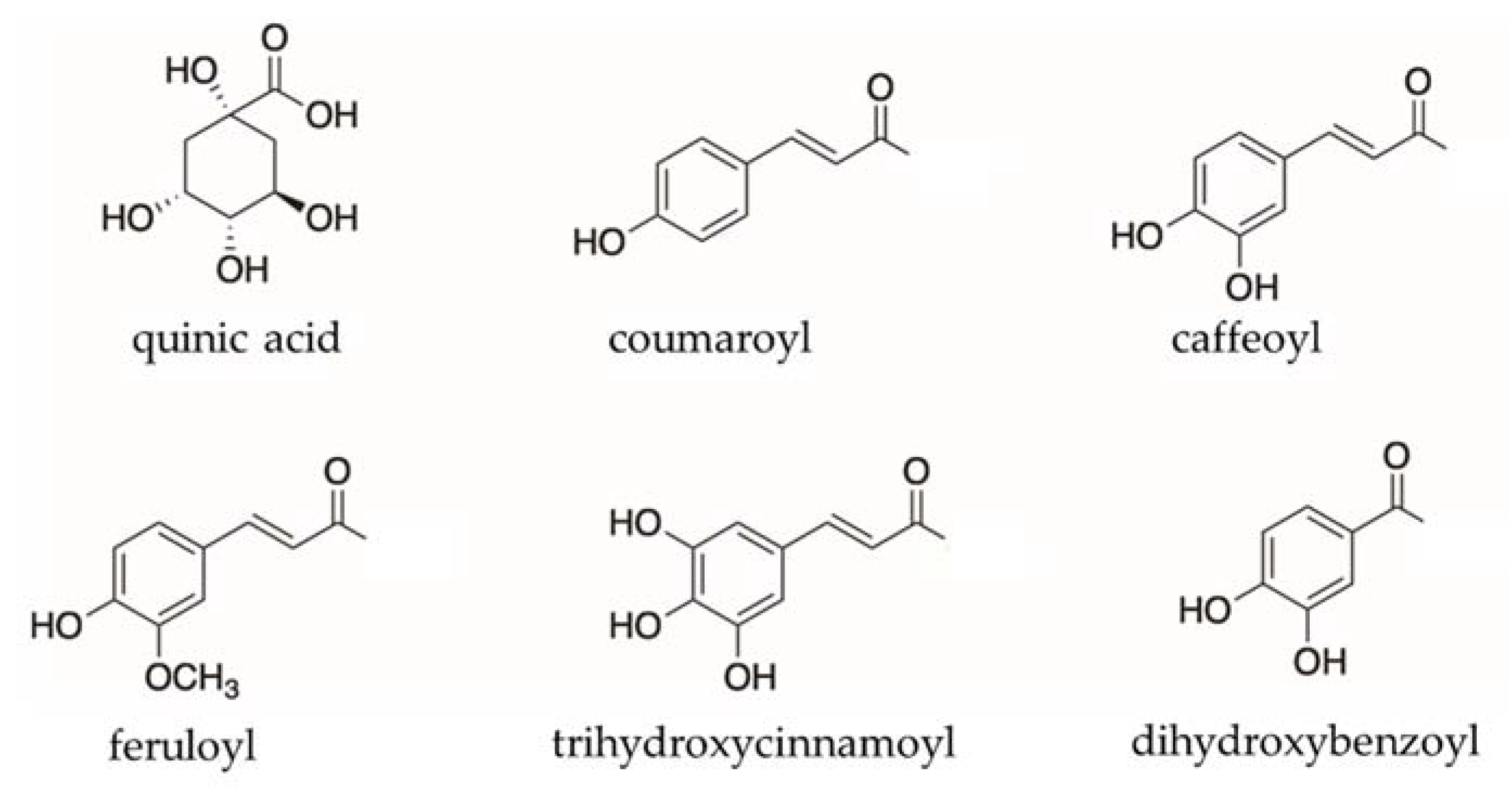 Pharmaceuticals 15 00663 g003