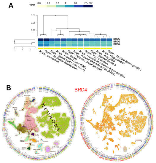 Pharmaceuticals 15 00665 g001 550