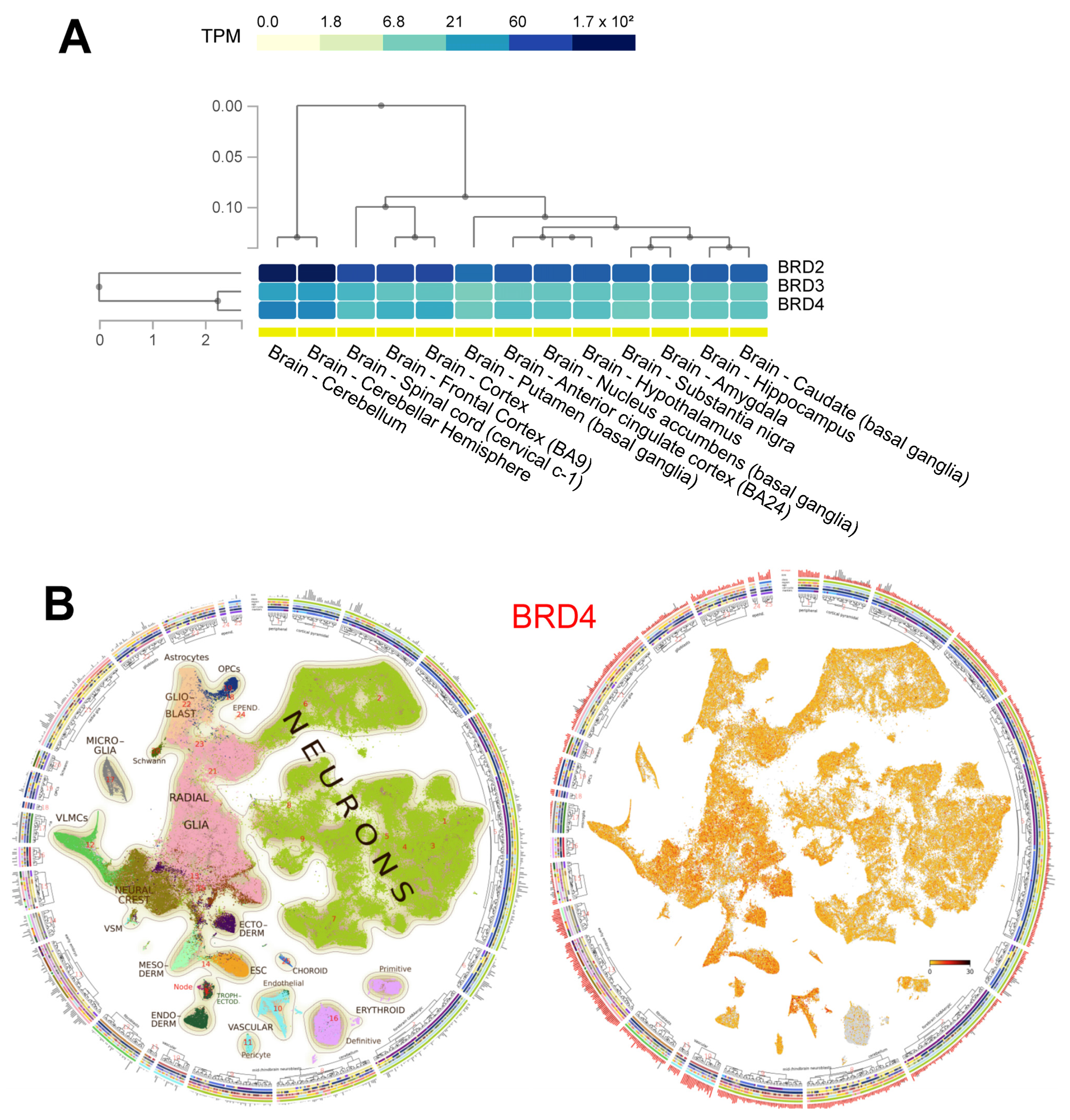 Pharmaceuticals 15 00665 g001