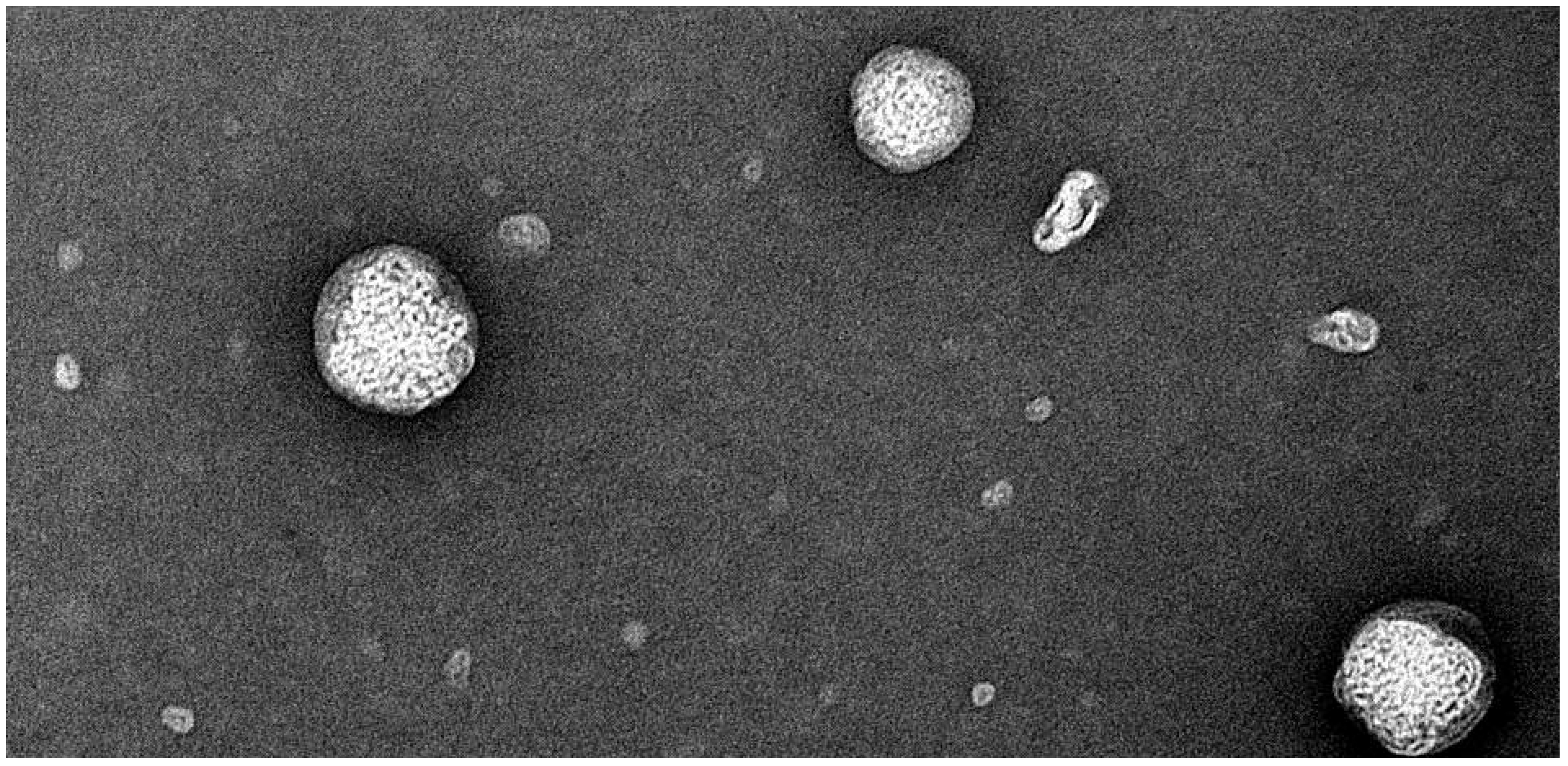 Pharmaceuticals 15 00679 g015