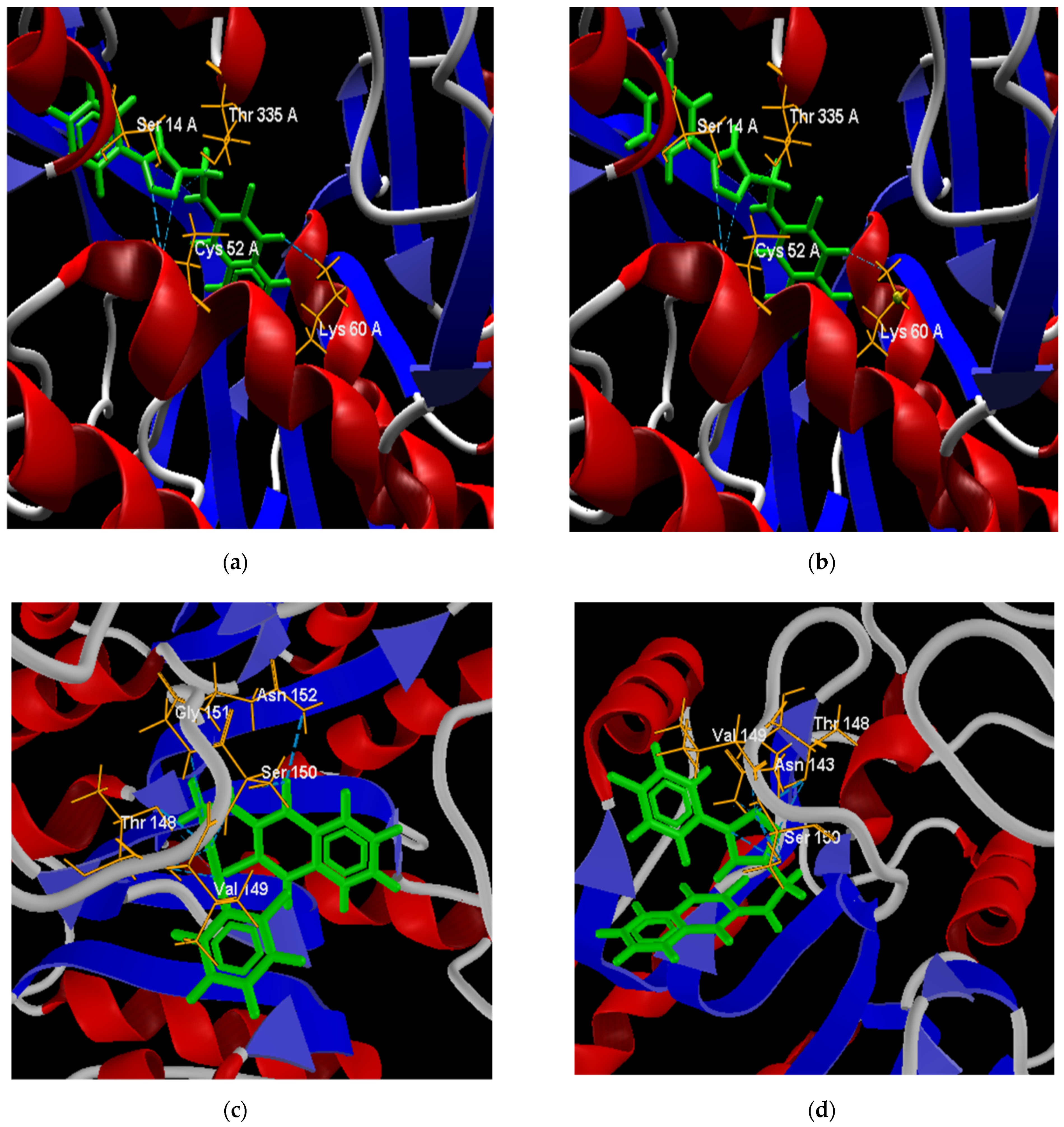 Pharmaceuticals 15 00687 g009a