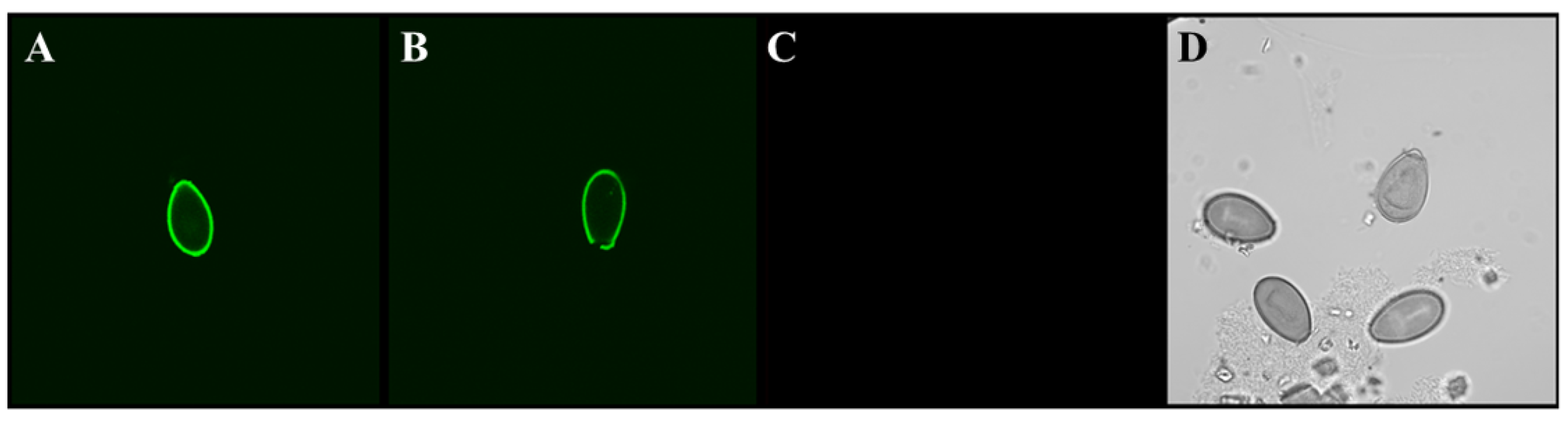 Pharmaceuticals 15 00693 g003