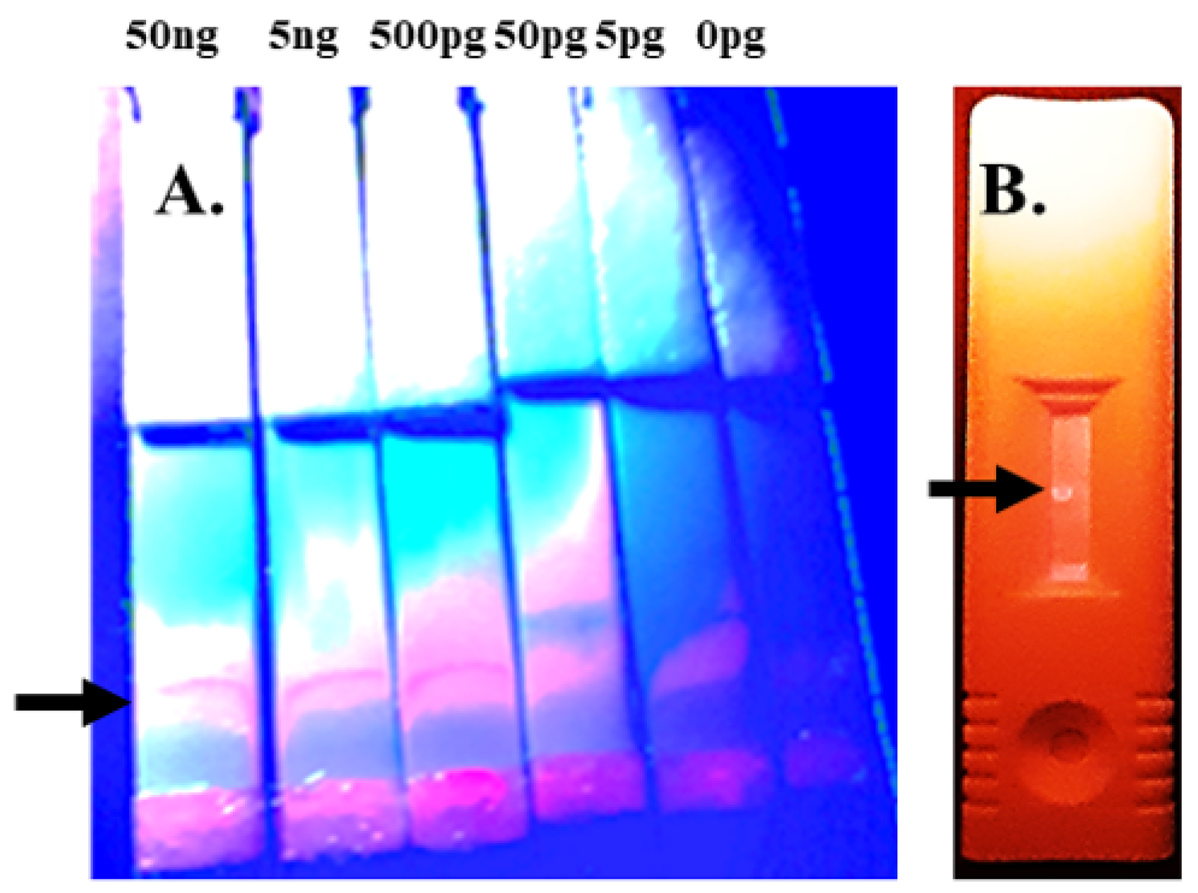 Pharmaceuticals 15 00693 g004