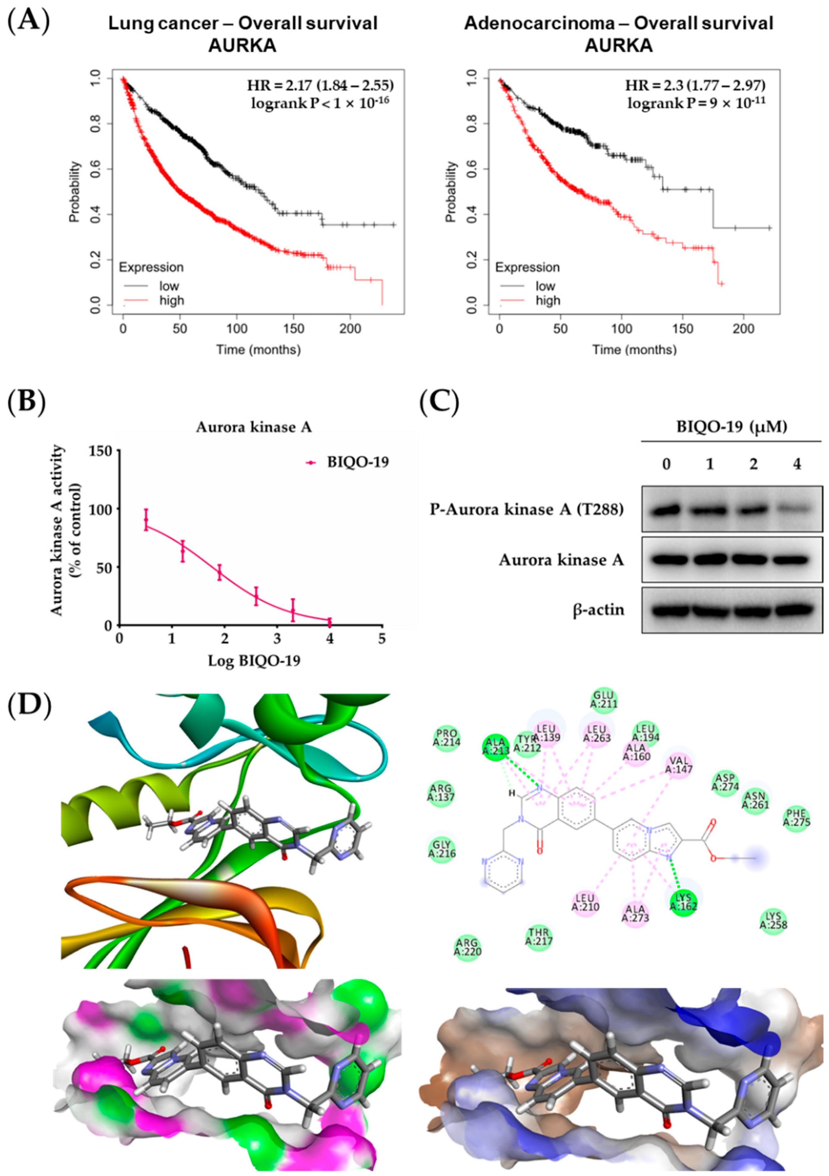 Pharmaceuticals 15 00698 g003