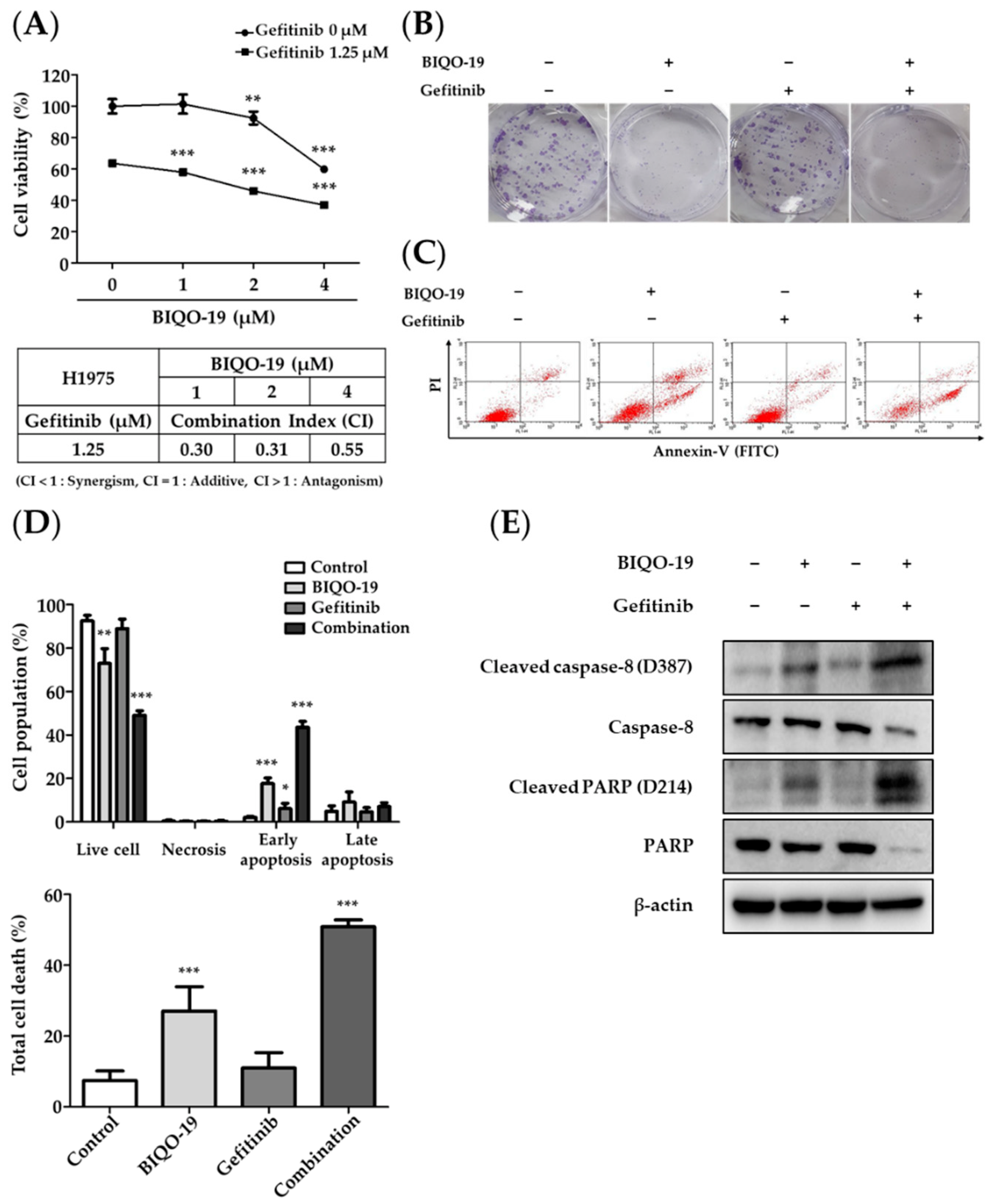 Pharmaceuticals 15 00698 g006
