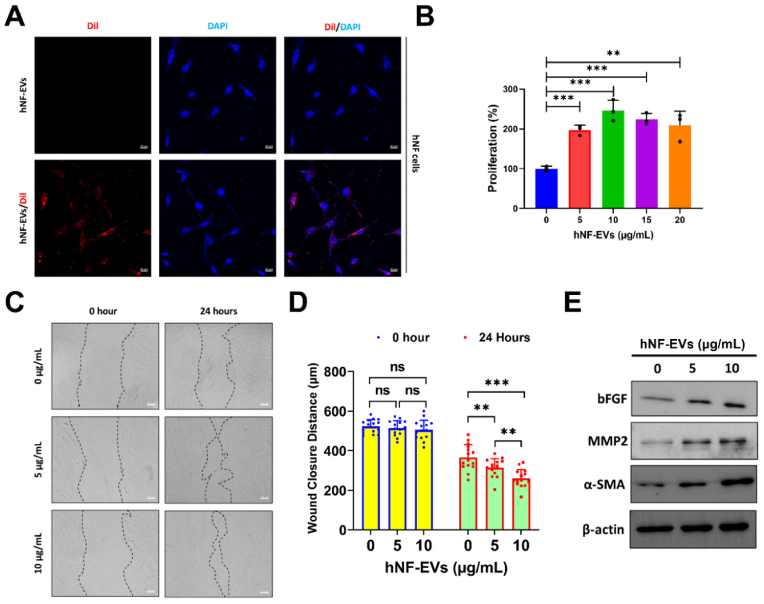 Pharmaceuticals 15 00702 g004