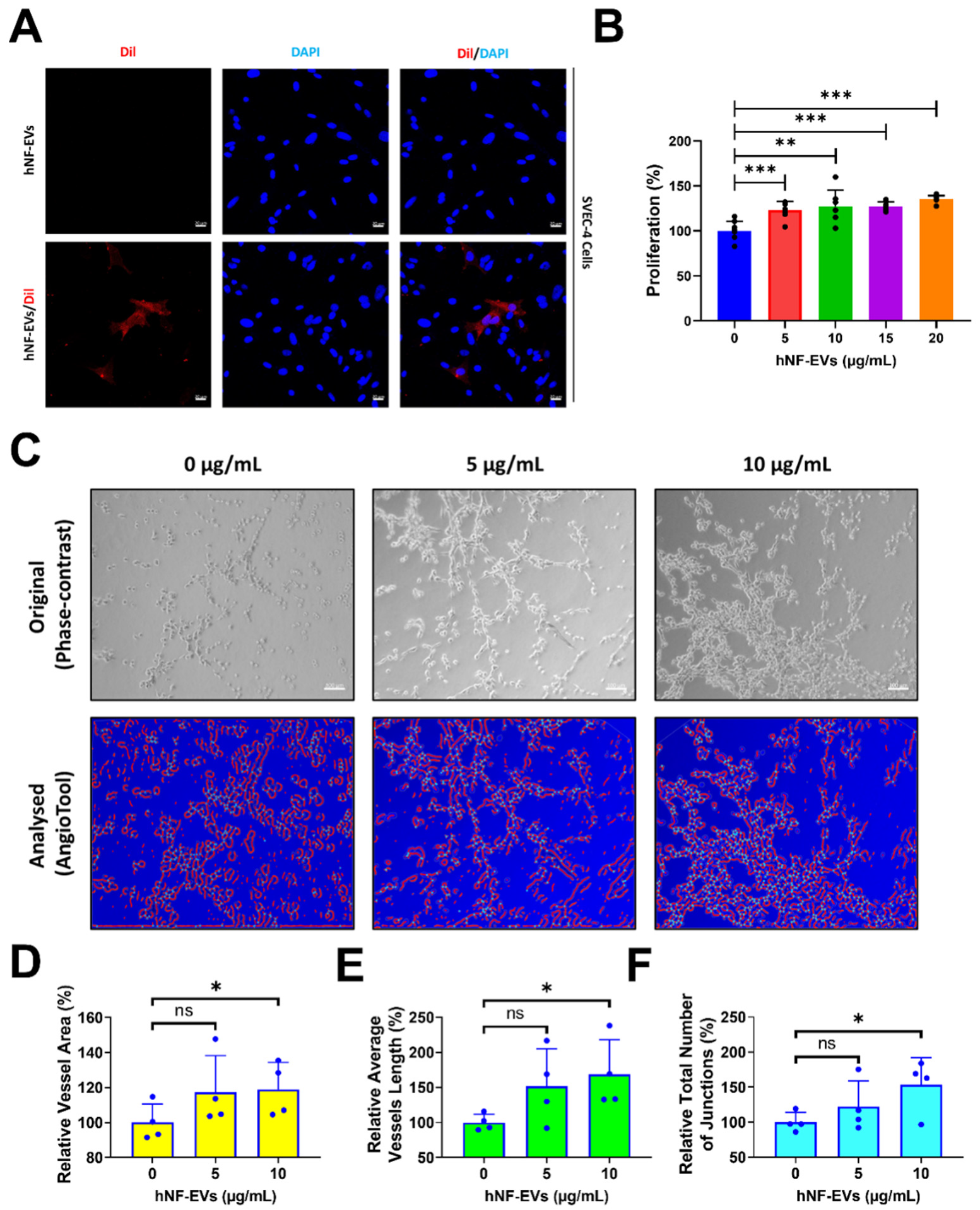 Pharmaceuticals 15 00702 g005