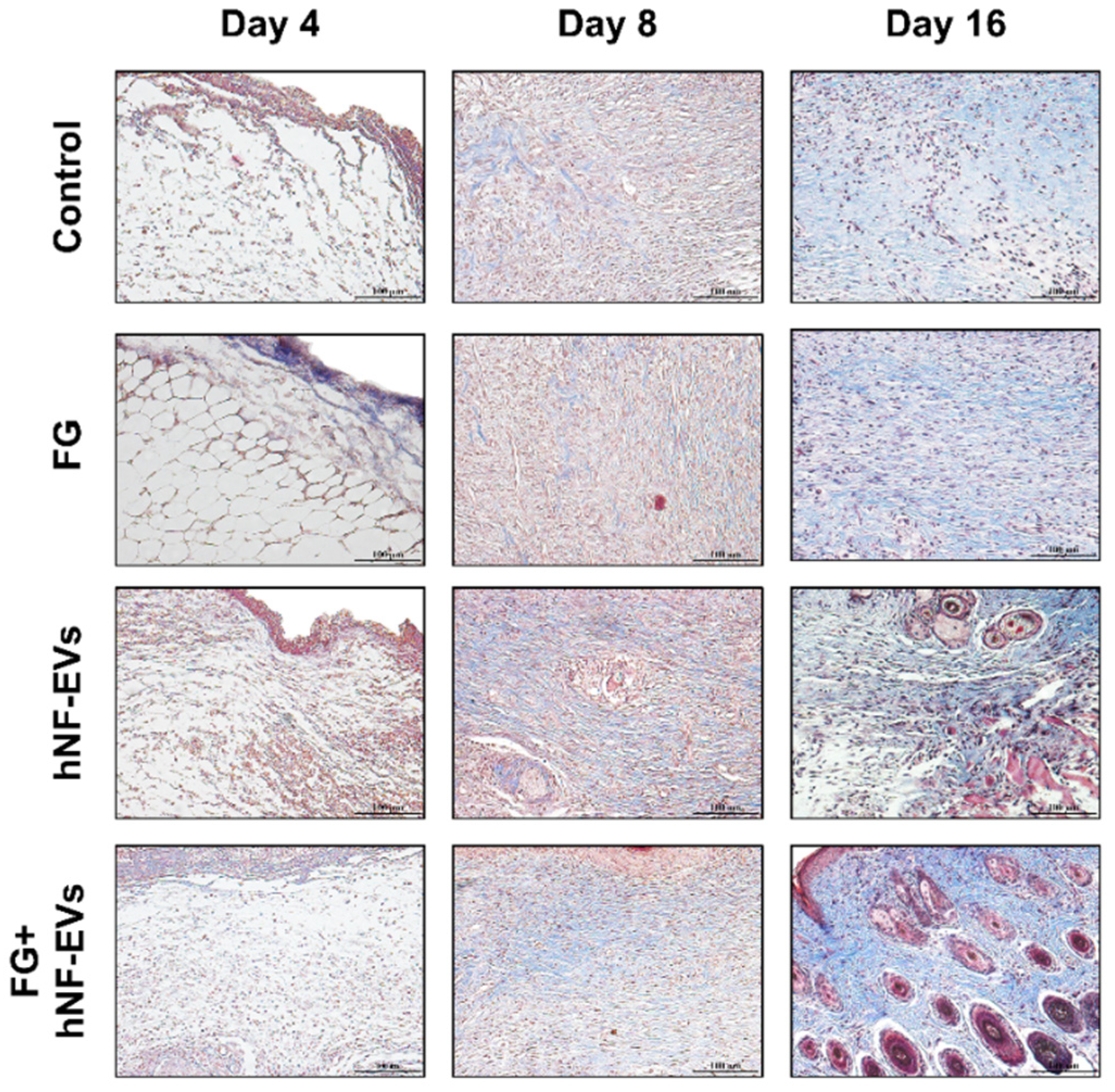 Pharmaceuticals 15 00702 g008
