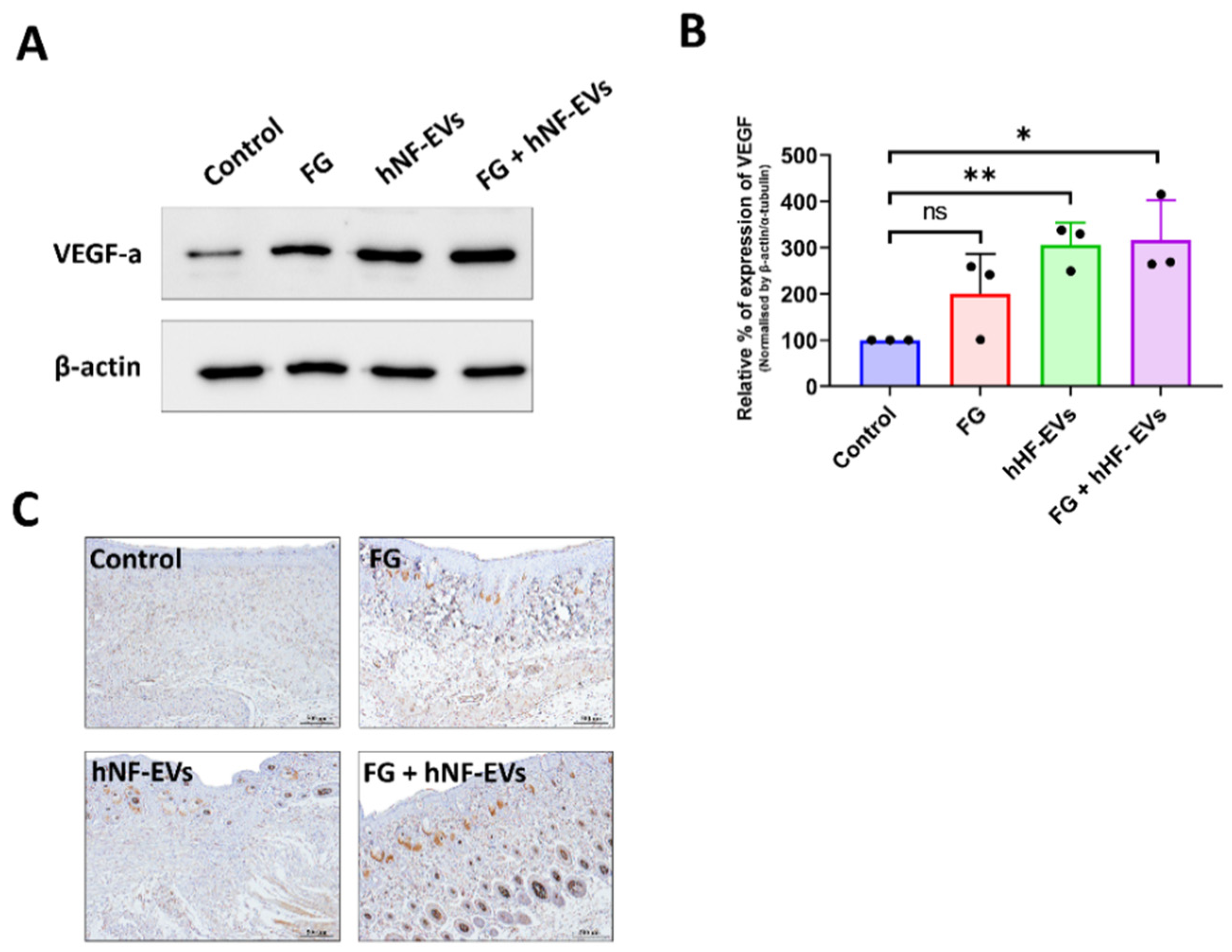 Pharmaceuticals 15 00702 g009