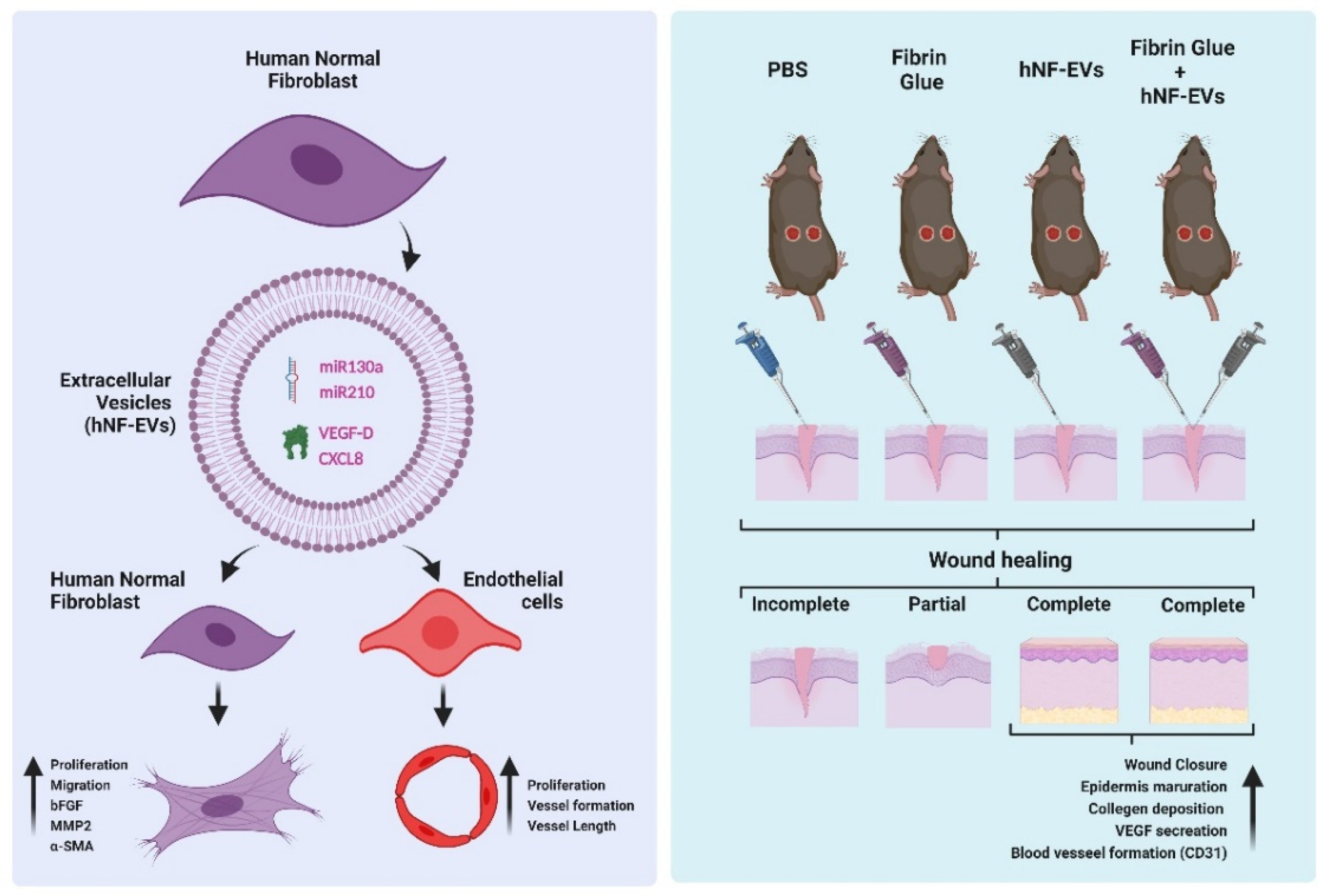 Pharmaceuticals 15 00702 g010