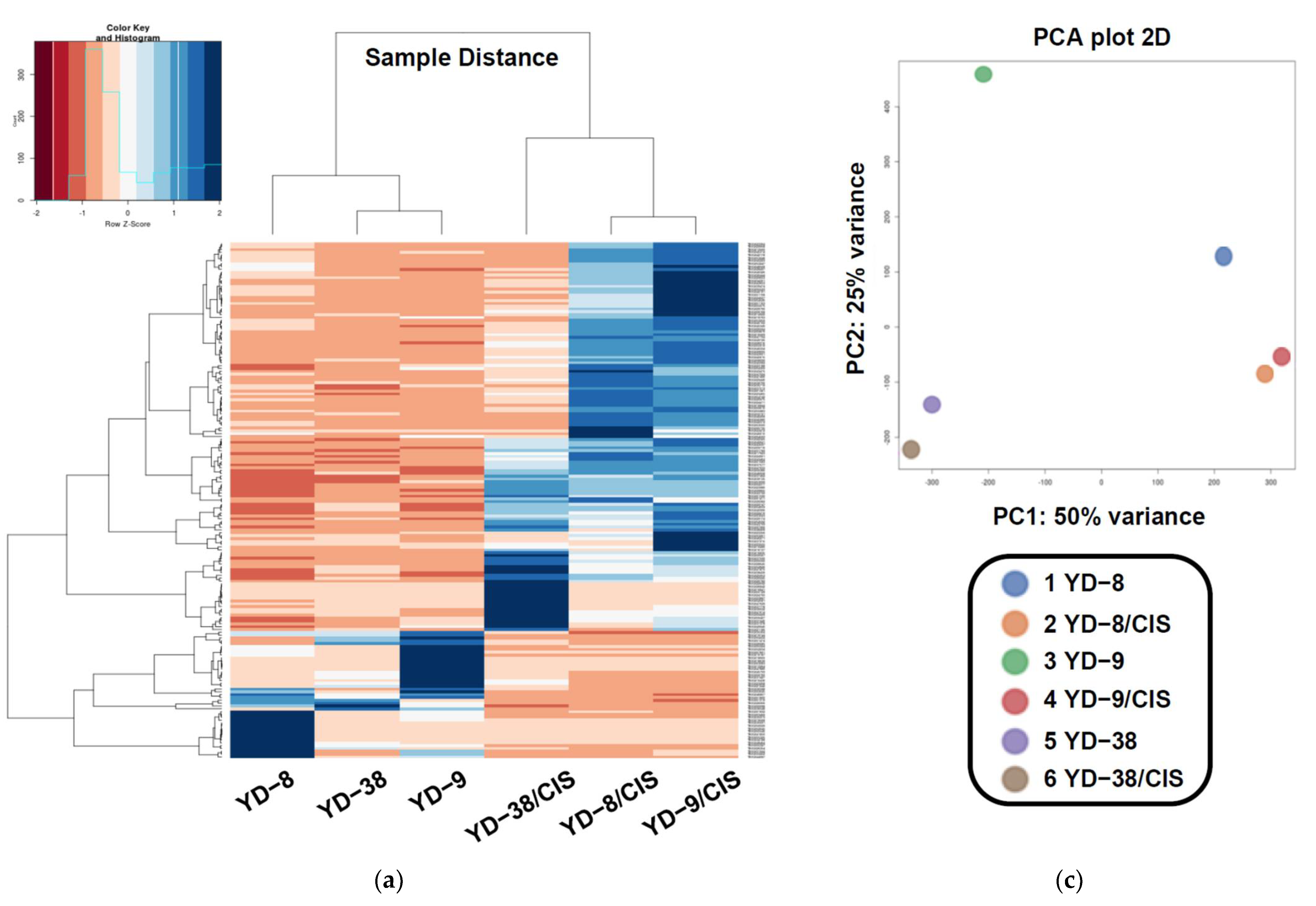 Pharmaceuticals 15 00704 g001a