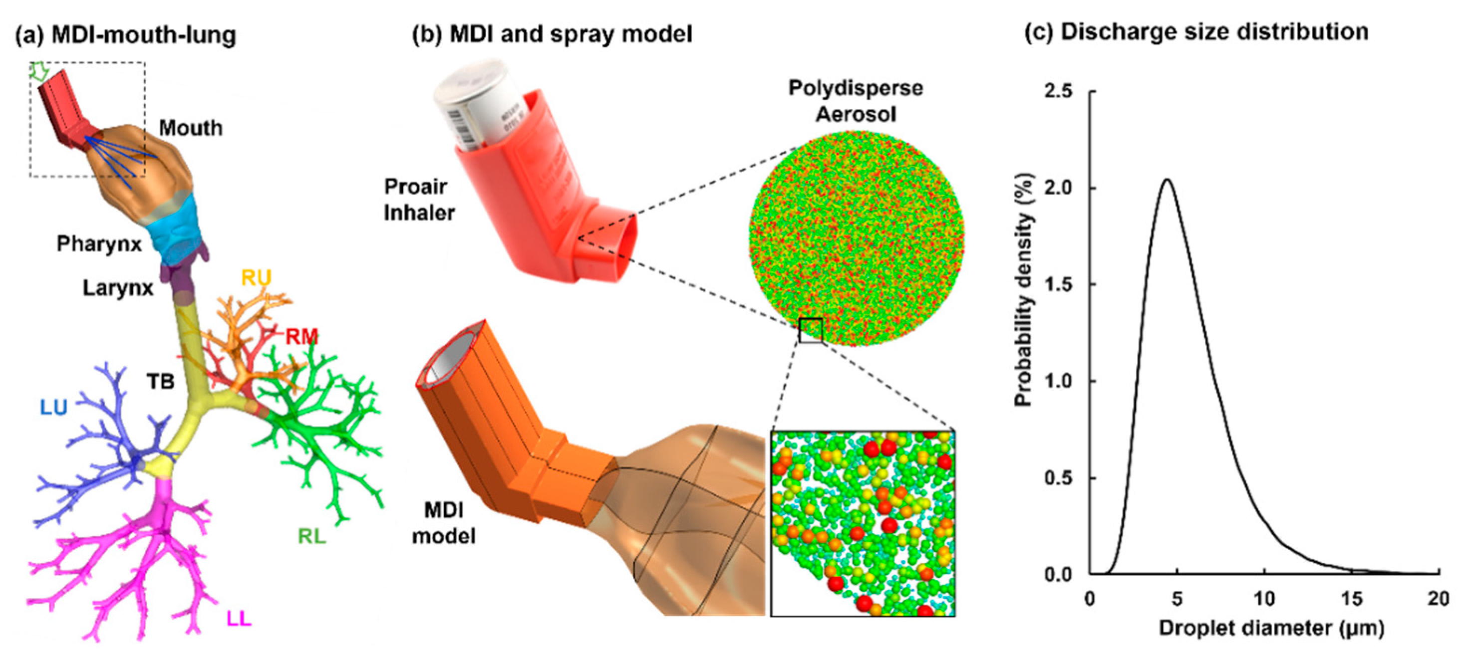 Pharmaceuticals 15 00706 g001