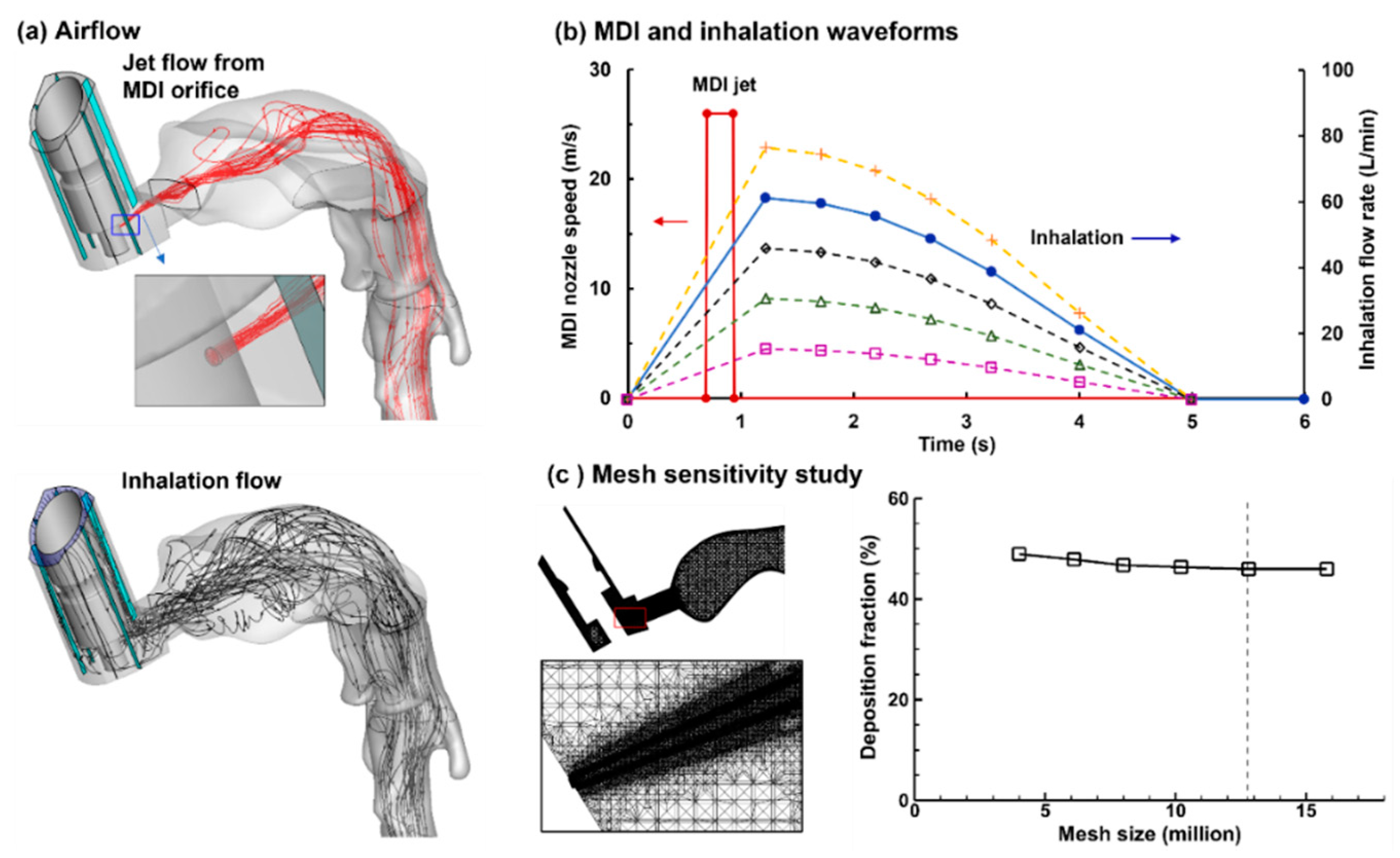 Pharmaceuticals 15 00706 g002