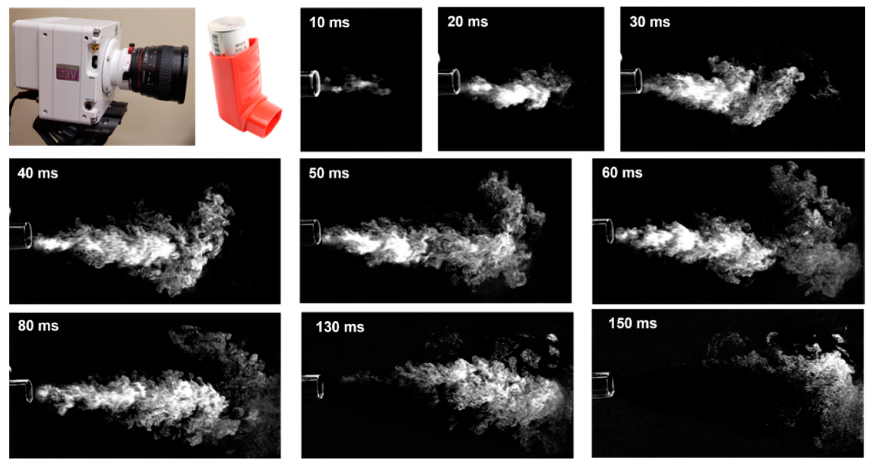 Pharmaceuticals 15 00706 g003