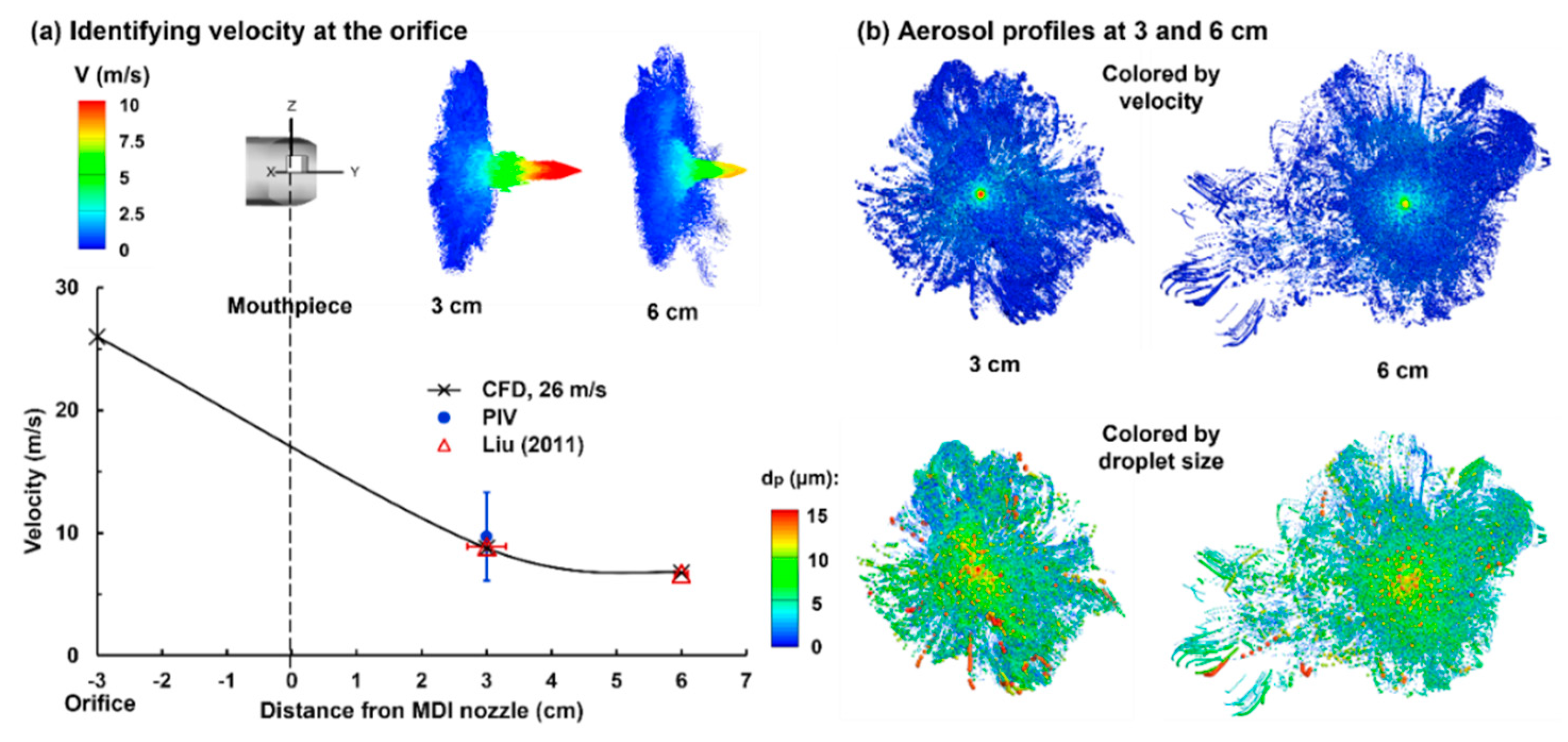 Pharmaceuticals 15 00706 g005